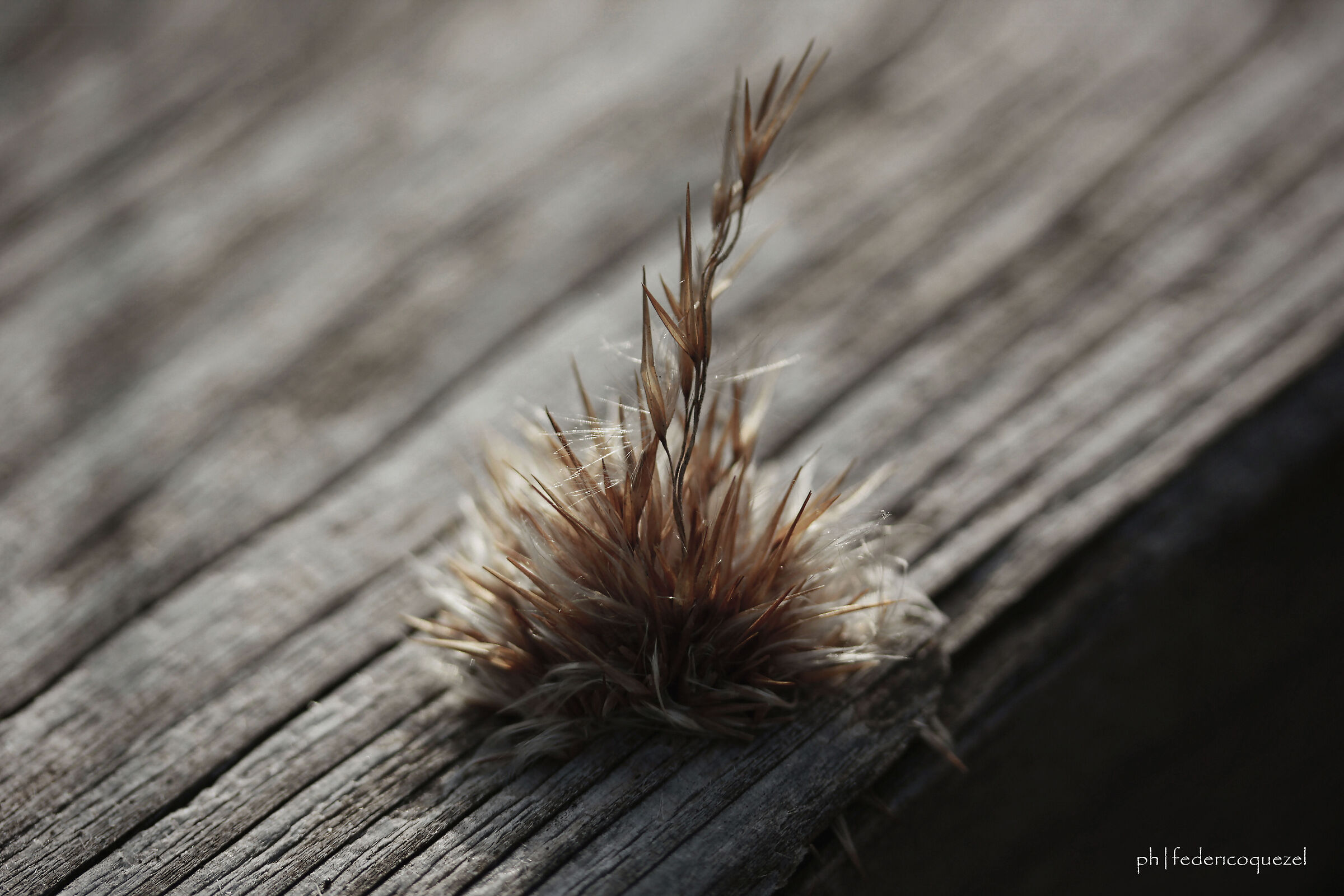 Looking for the light