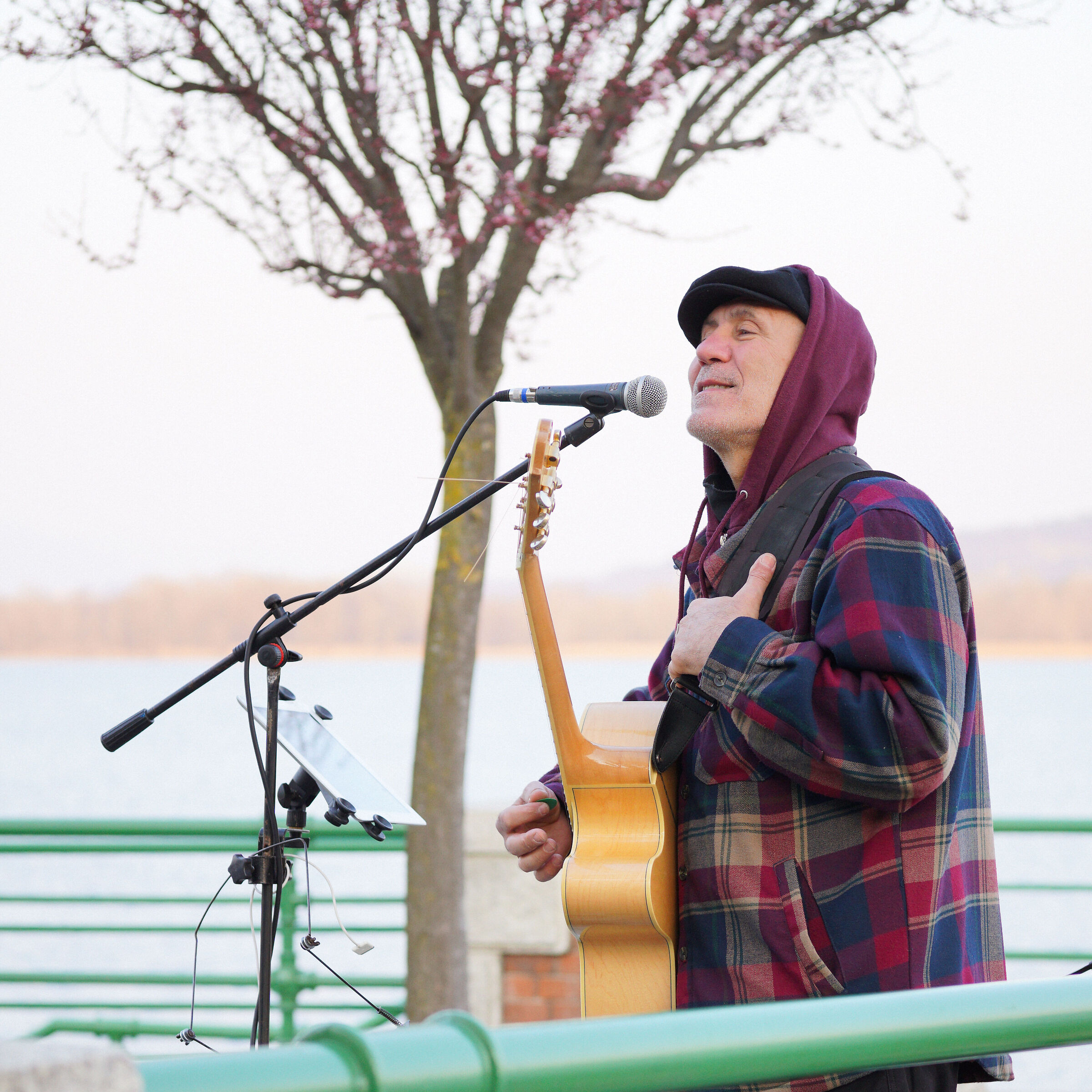 The singer of the market