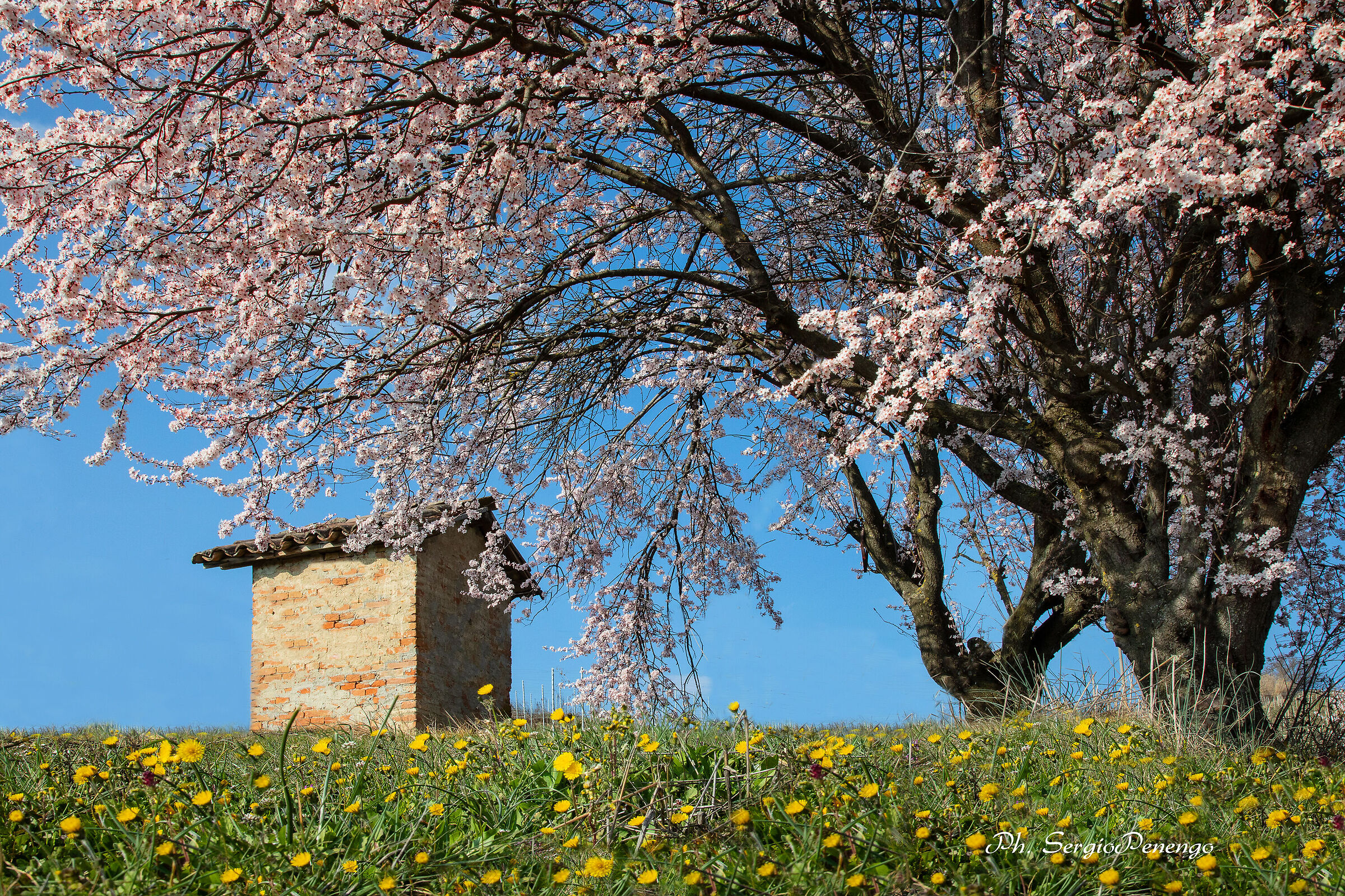 Spring is just around the corner