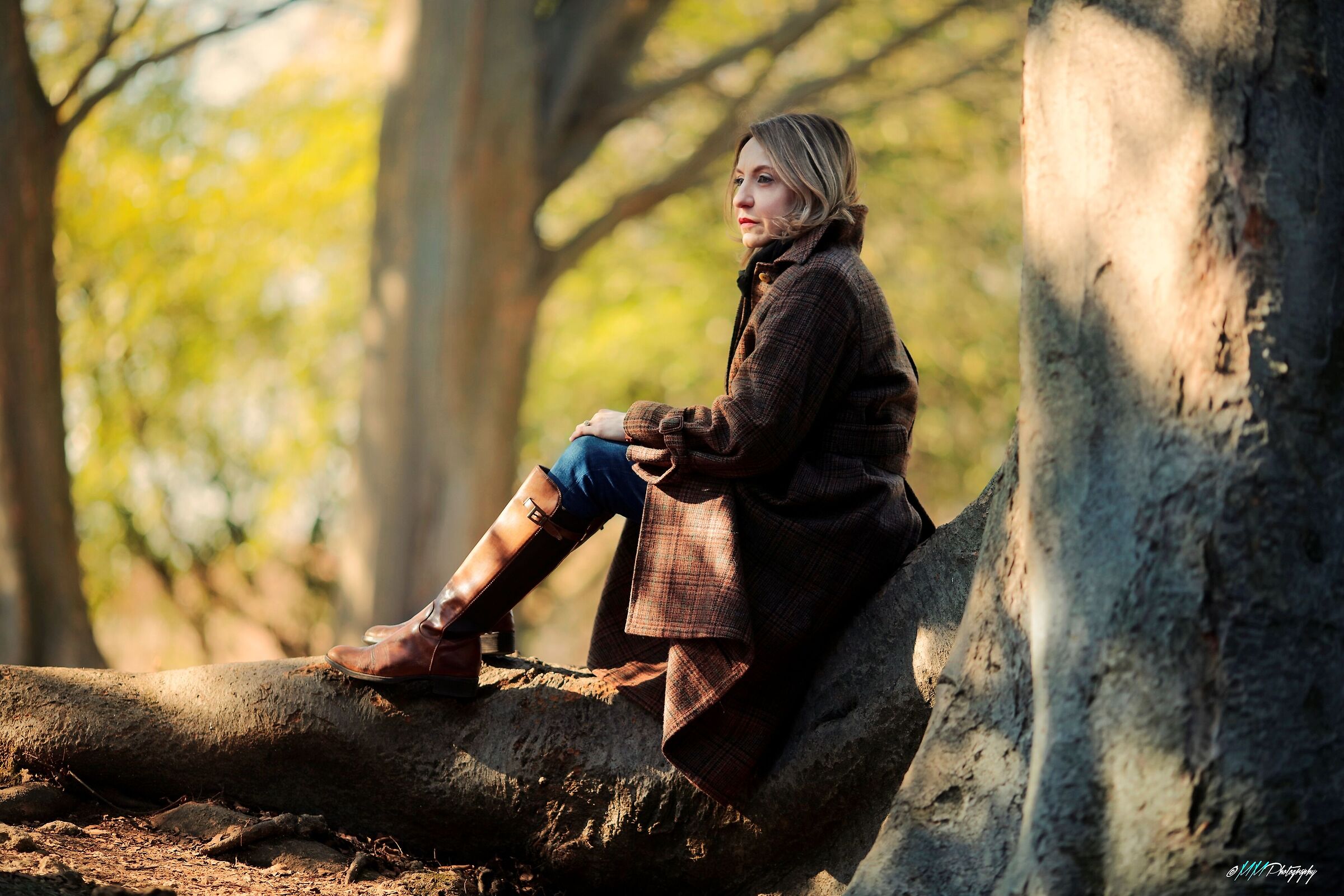 Avvisaglie di primavera