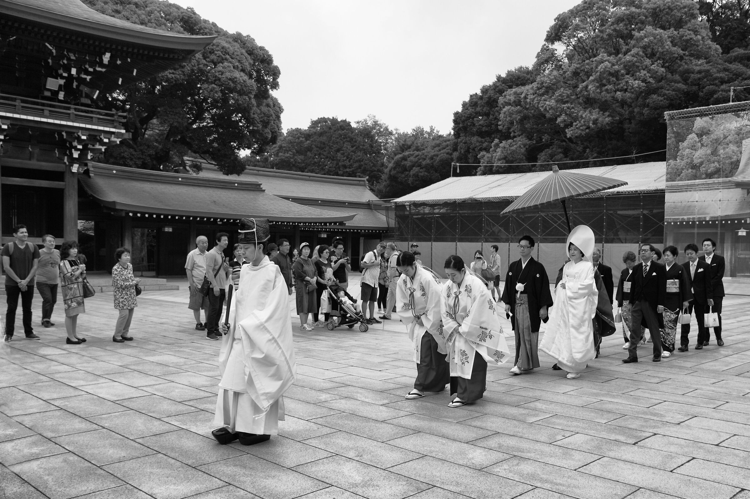 Matrimonio tradizionale al Santuario di Meiji