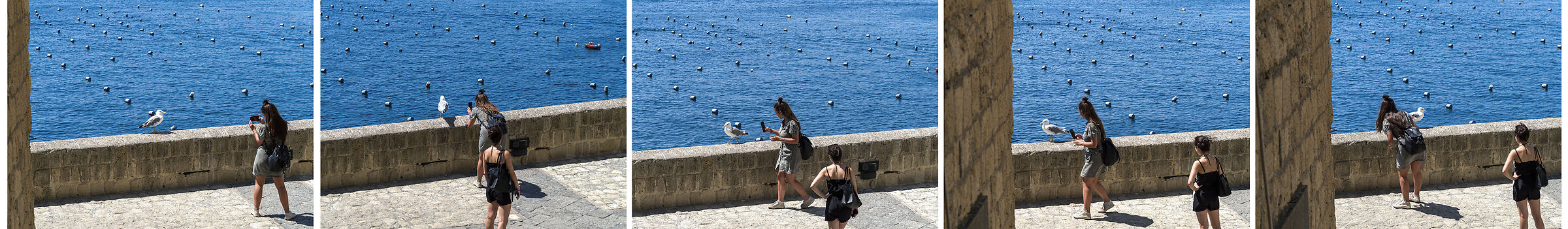 Vediamo chi vince! Non vado via senza una tua foto!