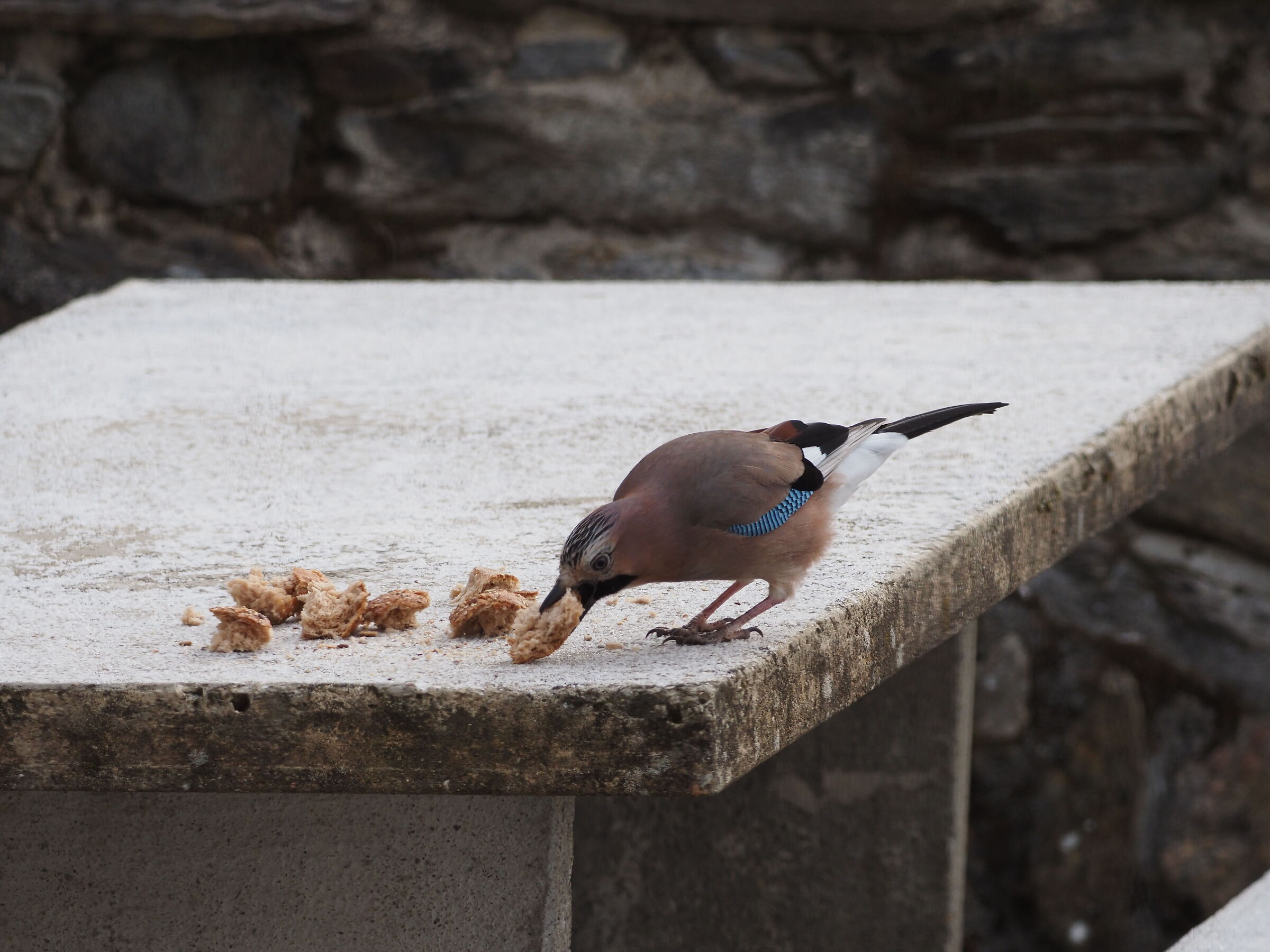 Give us our daily bread today :-)