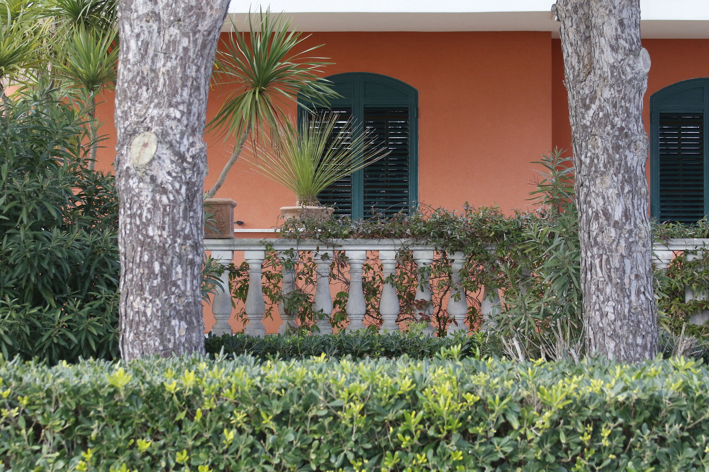 Canon 7D II- 70-300 DO IS USM