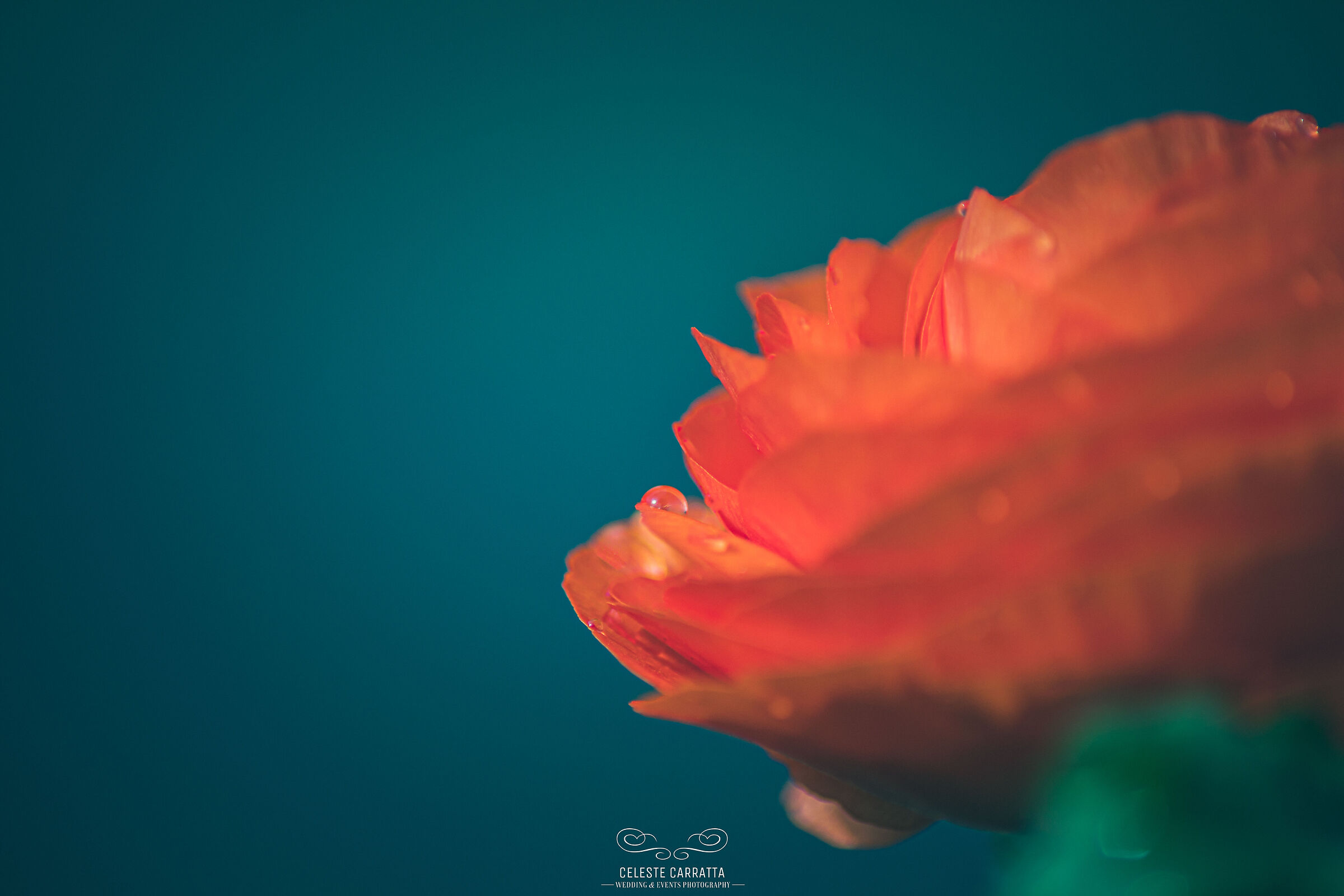 Drop in macro