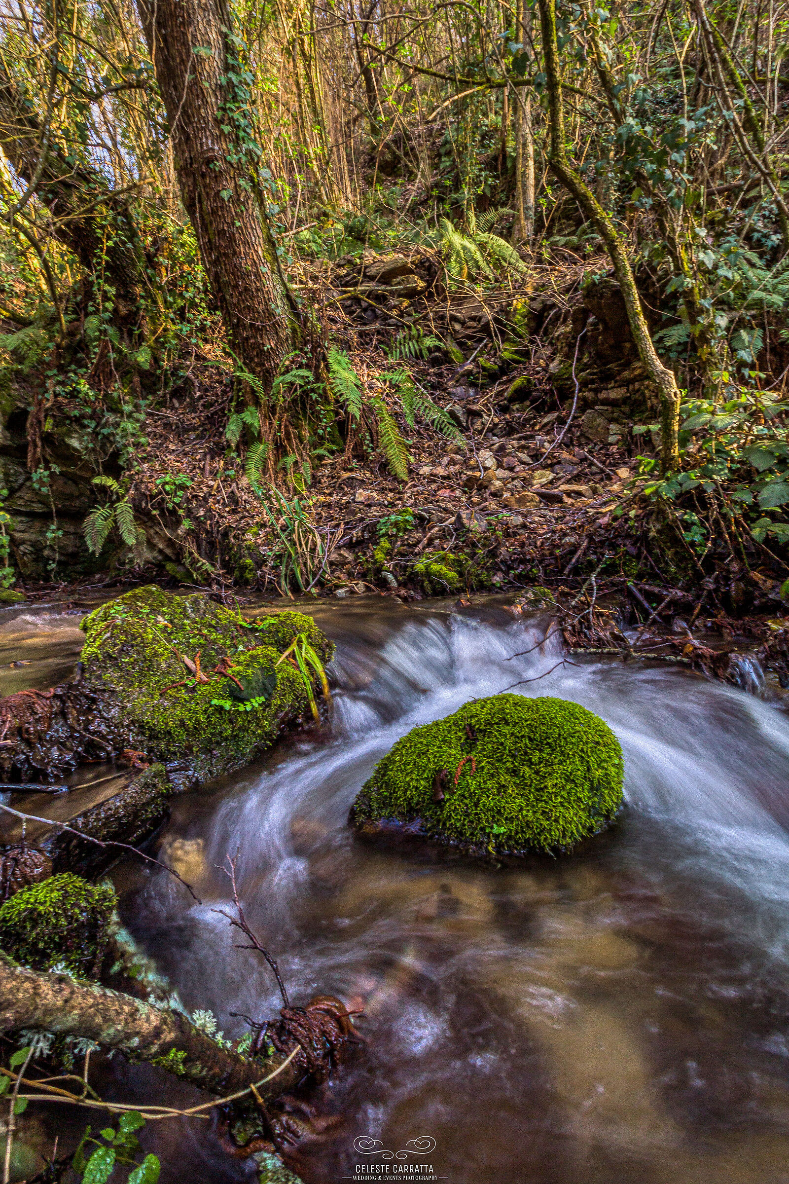 Veiled water