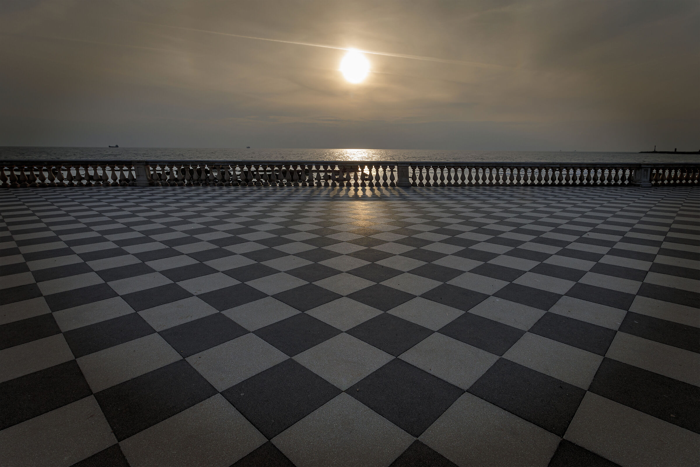 scacchiera livornese