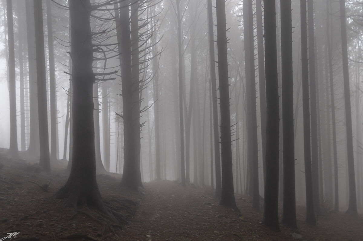Invisible presences