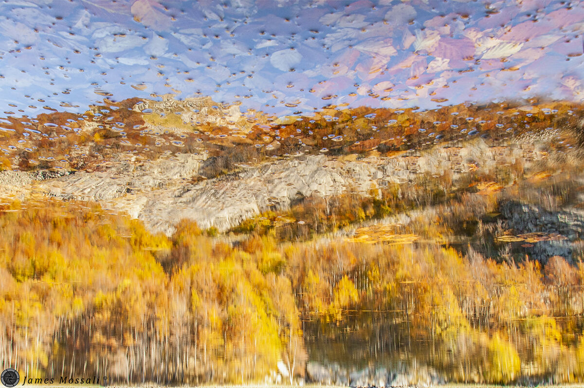 Riflessi d'autunno