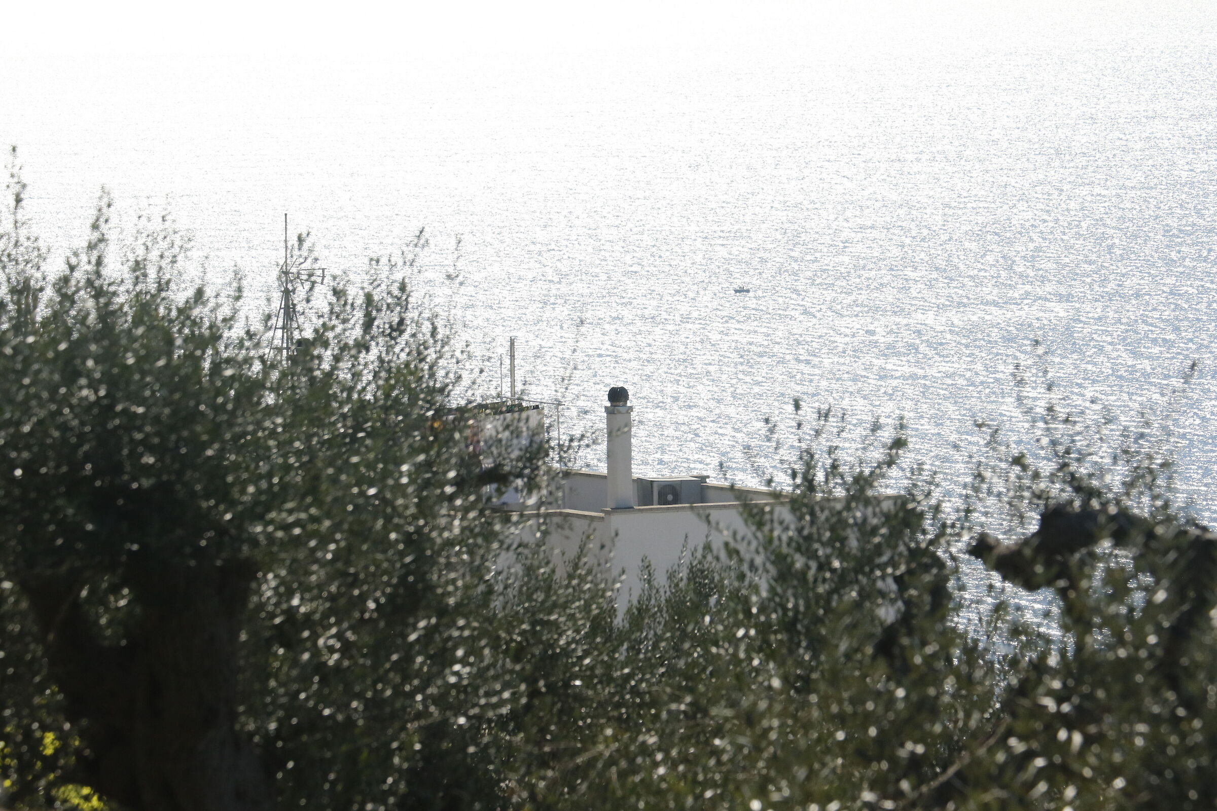 Canon 7D II- 70-300 DO IS USM