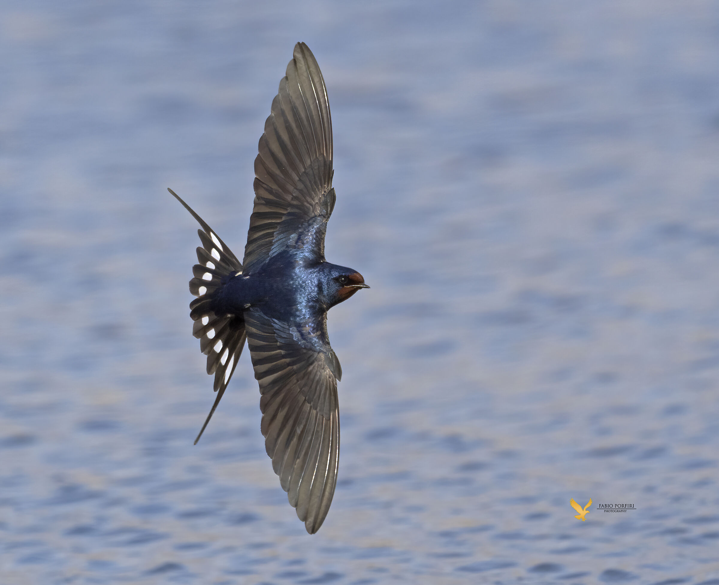 Quando le foto riescono bene