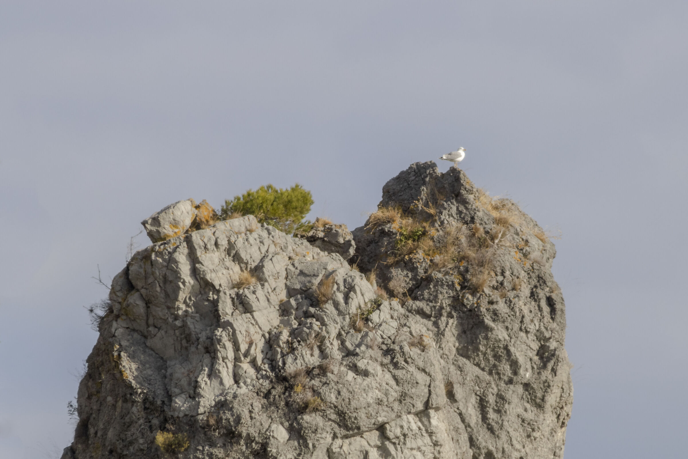 Sentry
