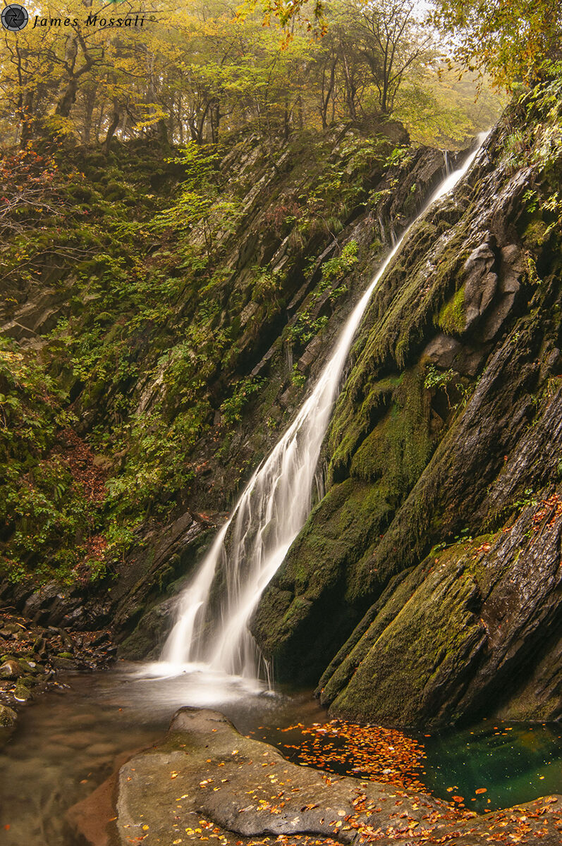 L'autunno e la cascata