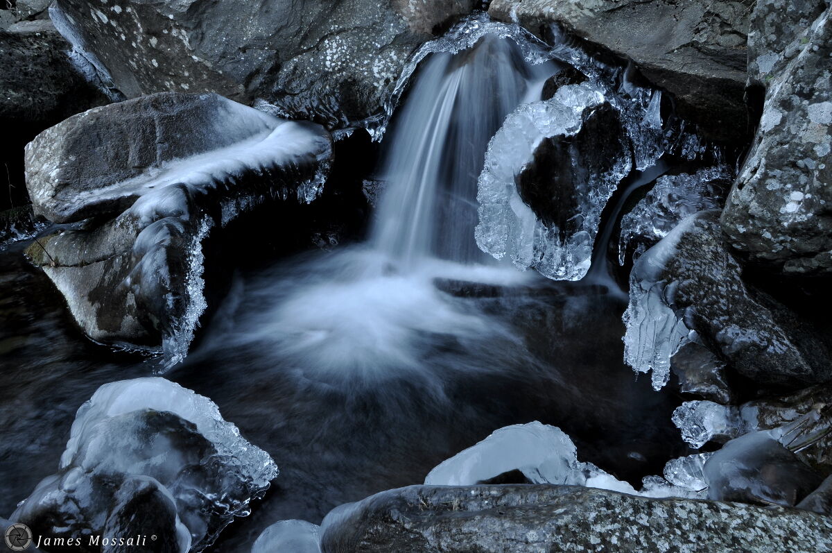 Frozen