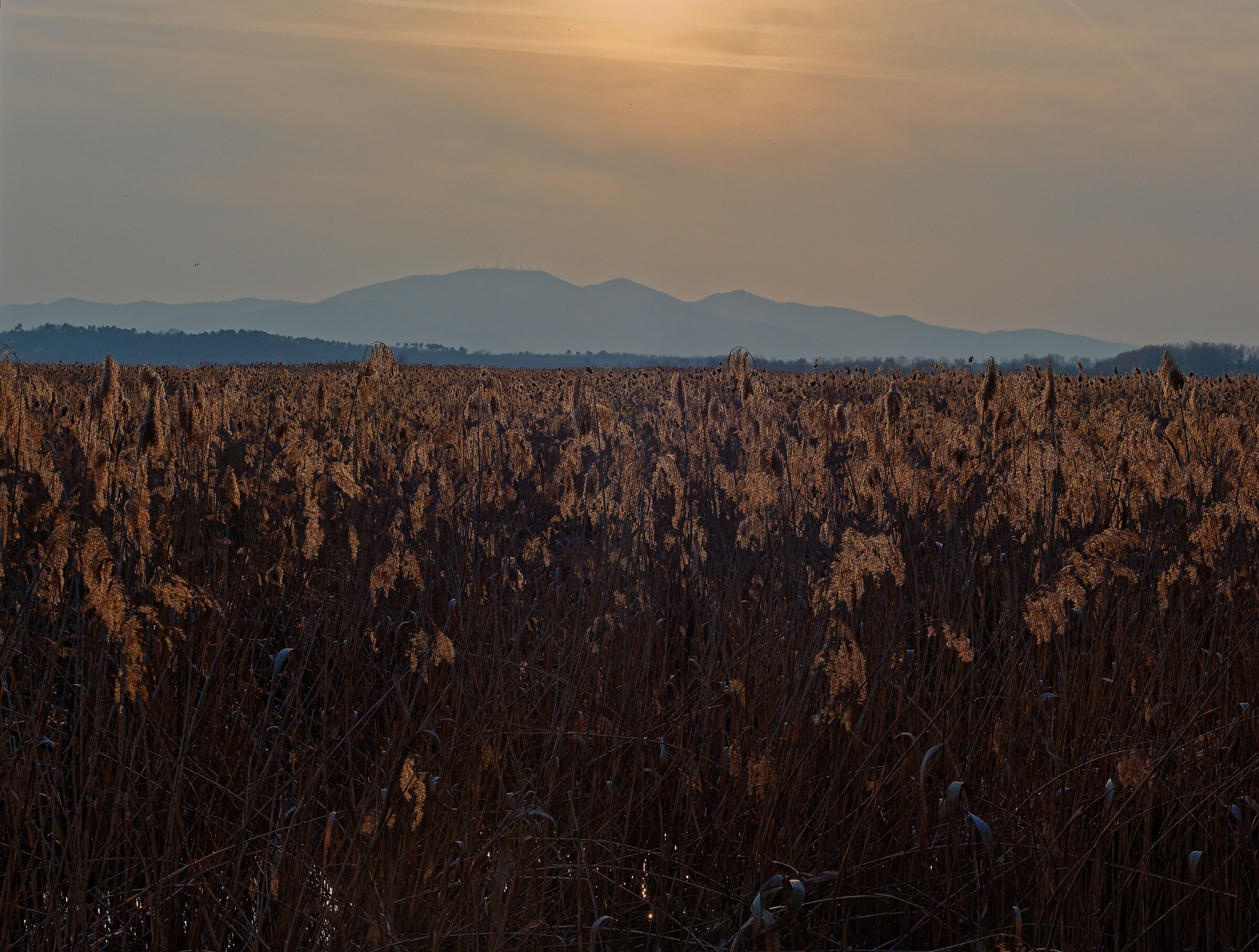 tramonto