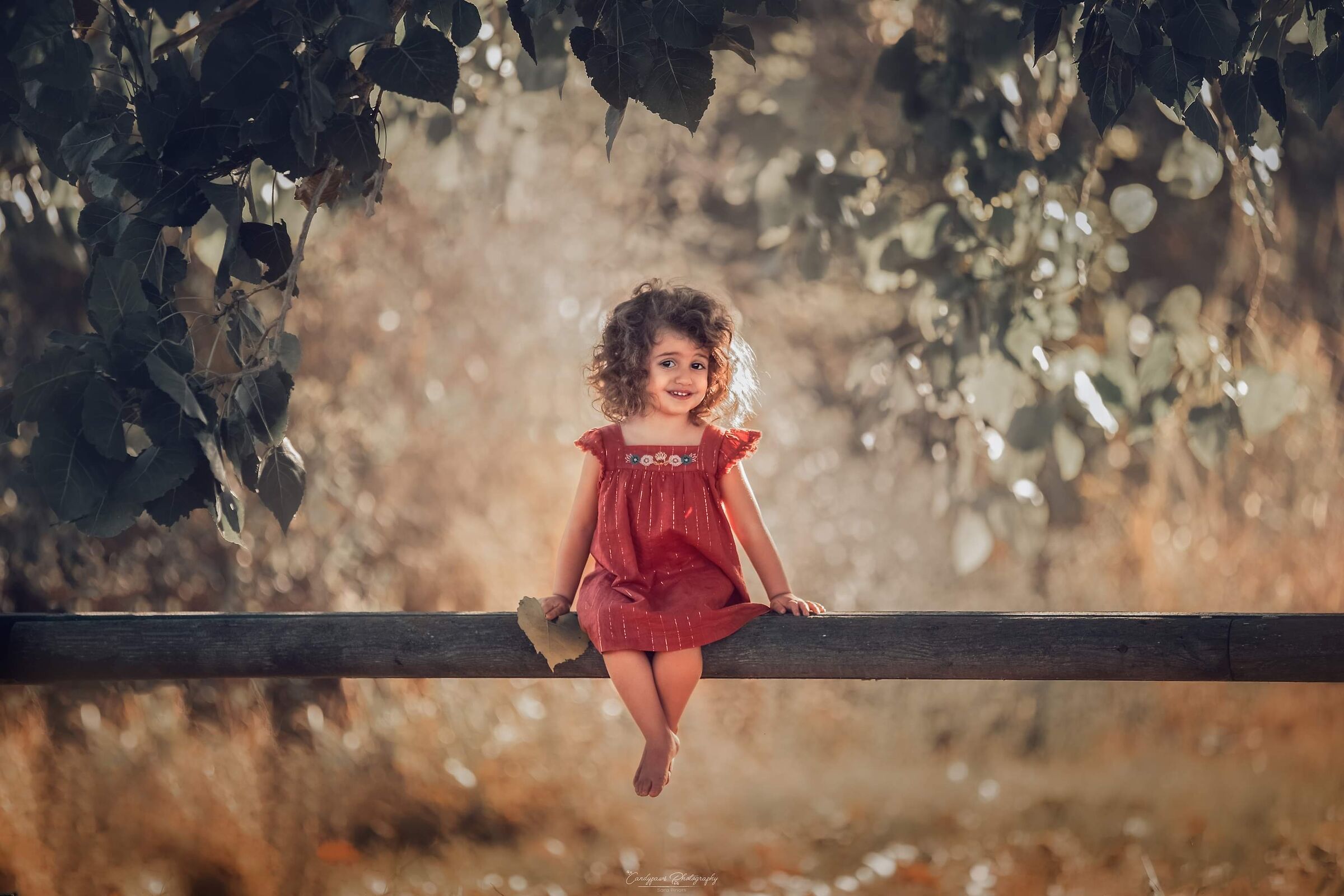 Sweety