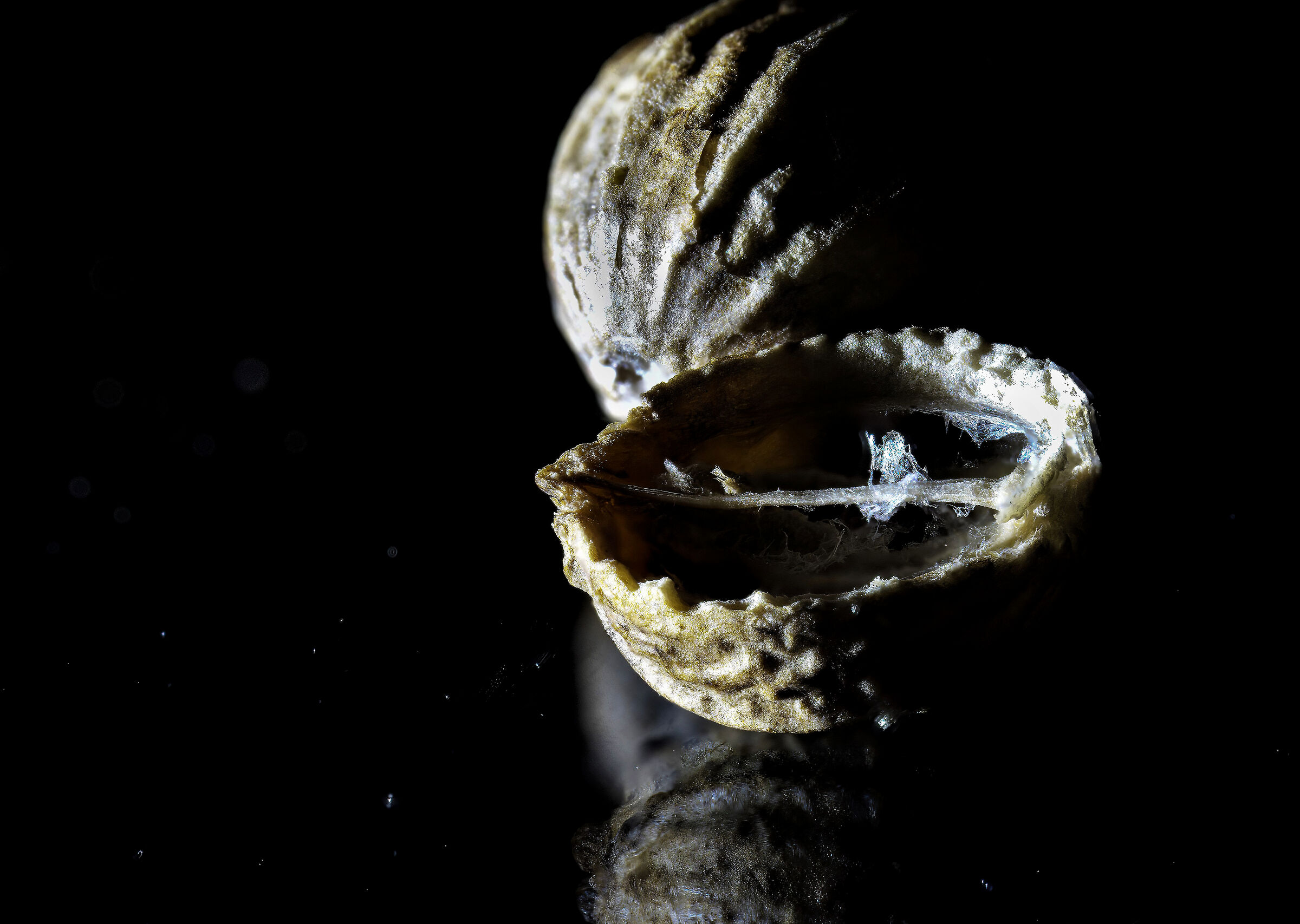 Vediamo il primo che scopre cosa è