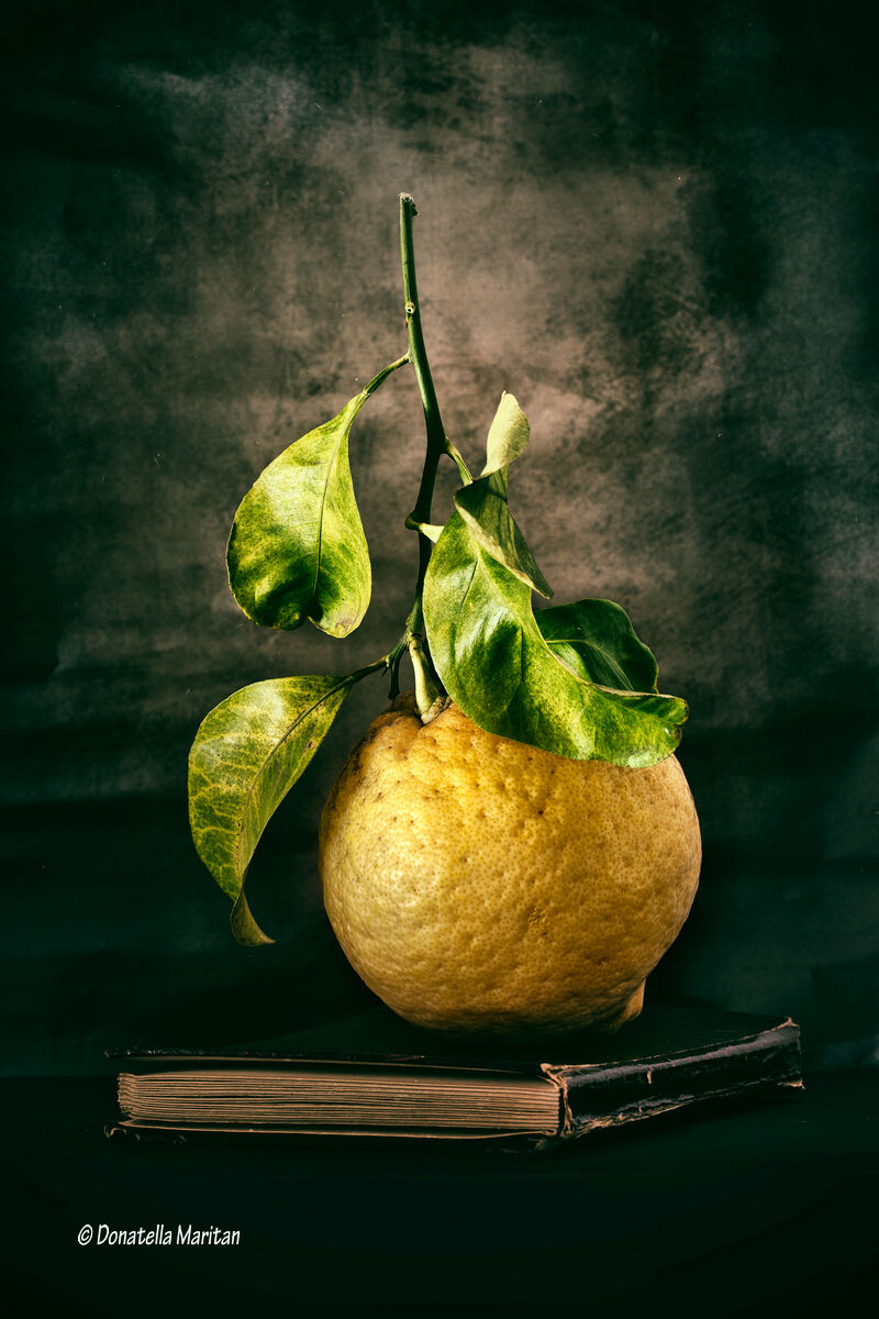 Pompelmo