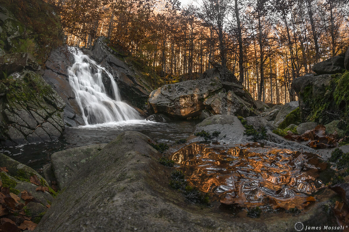 Autunno al ruscello