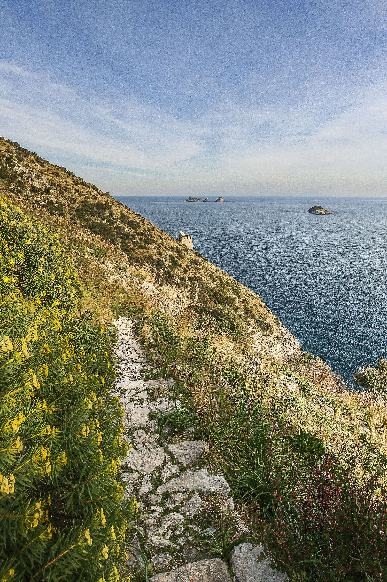 Along the road to Crapolla