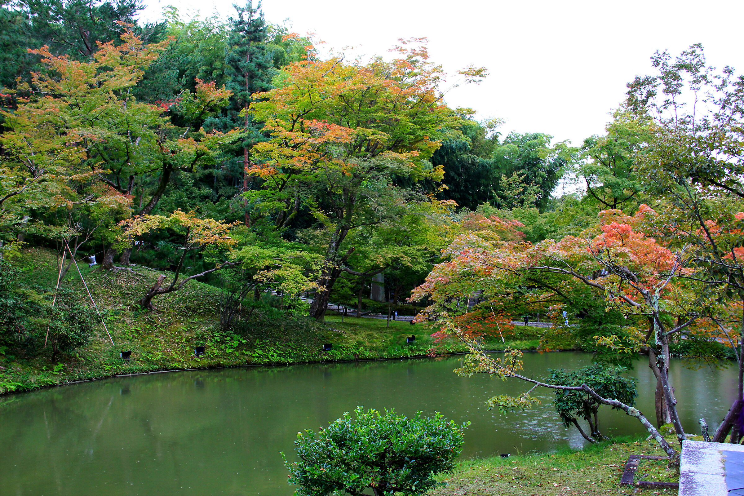 Kodaiji Temple Garden