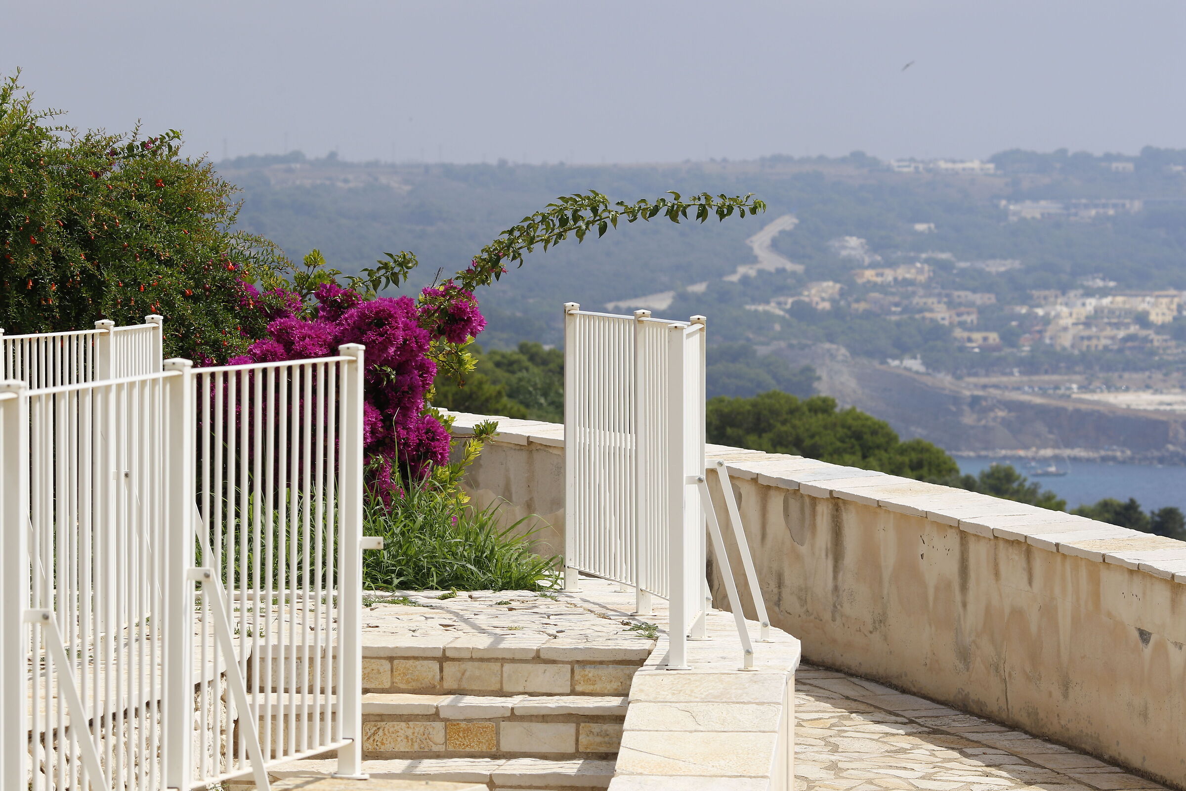 Canon 7D II- 135 F.2 L USM