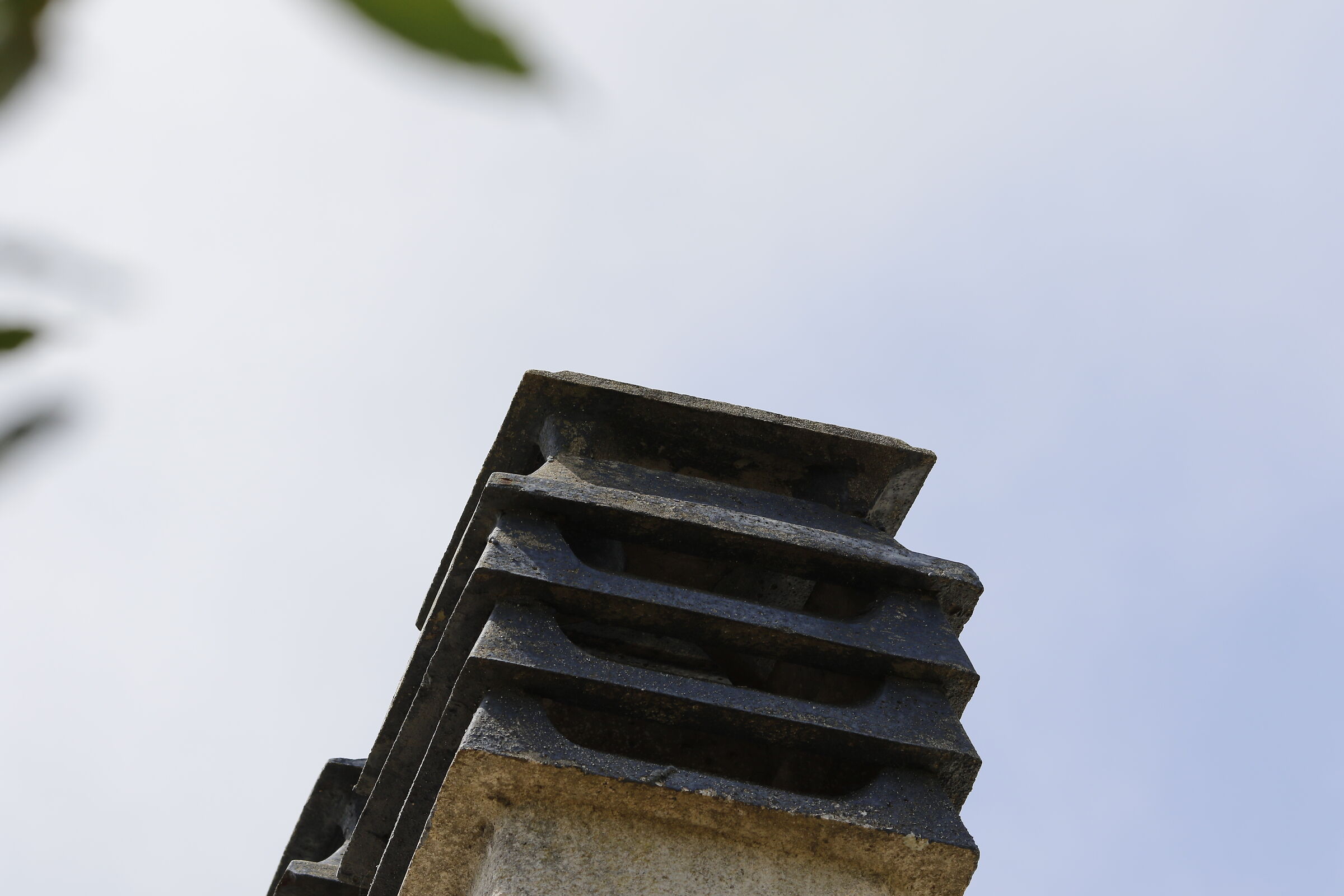 Canon 7D II- 135 F.2 L USM