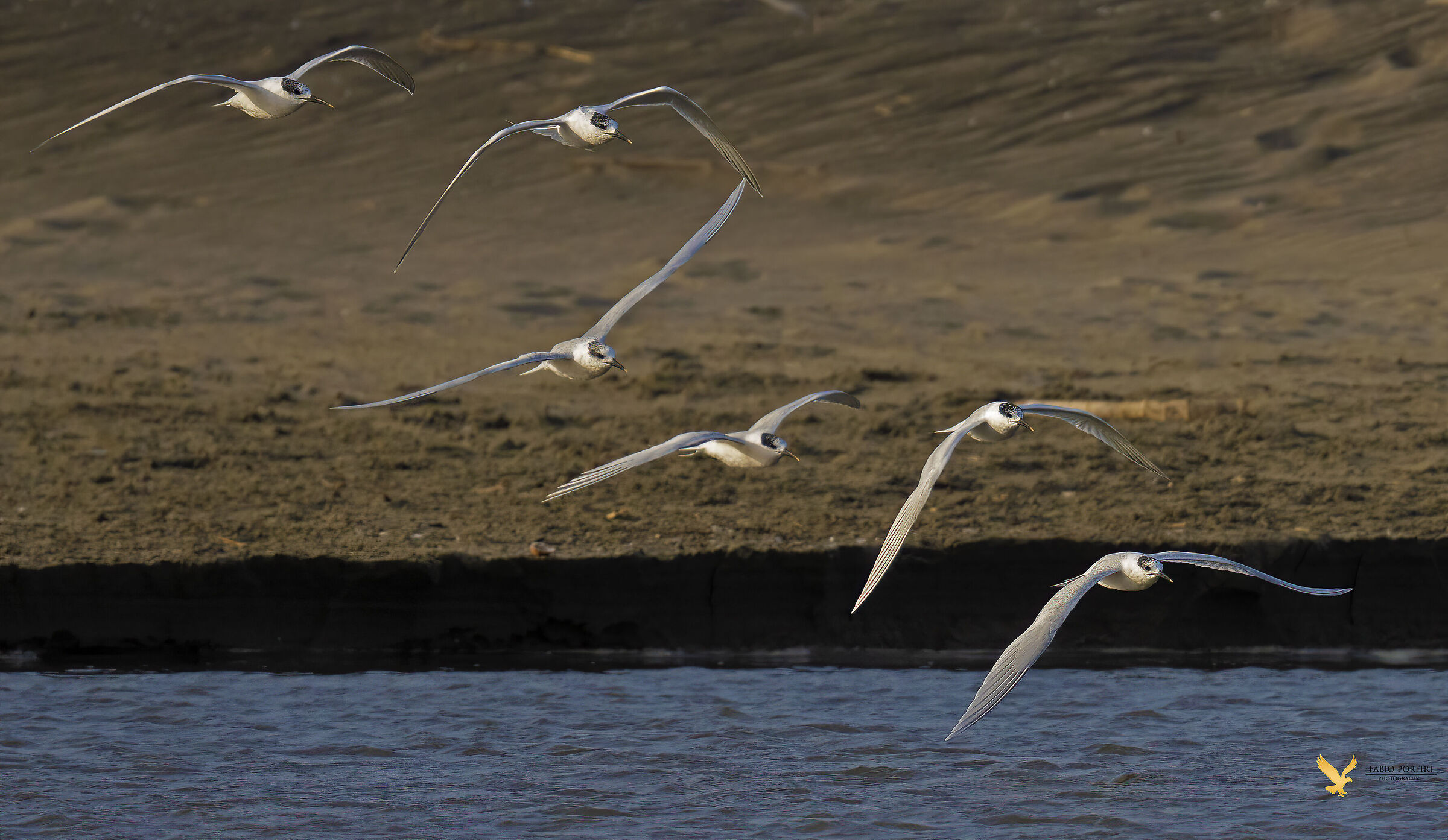 la scaletta --- beccapesci