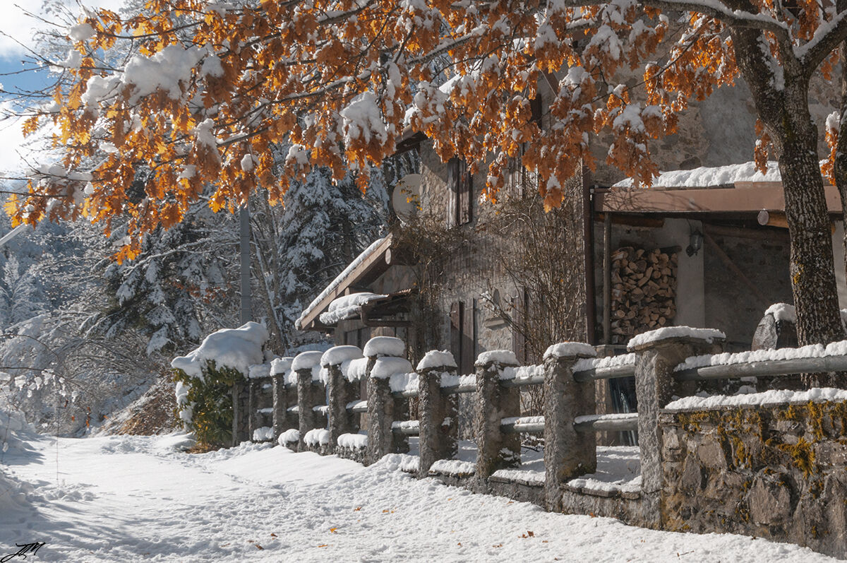 The house in the woods