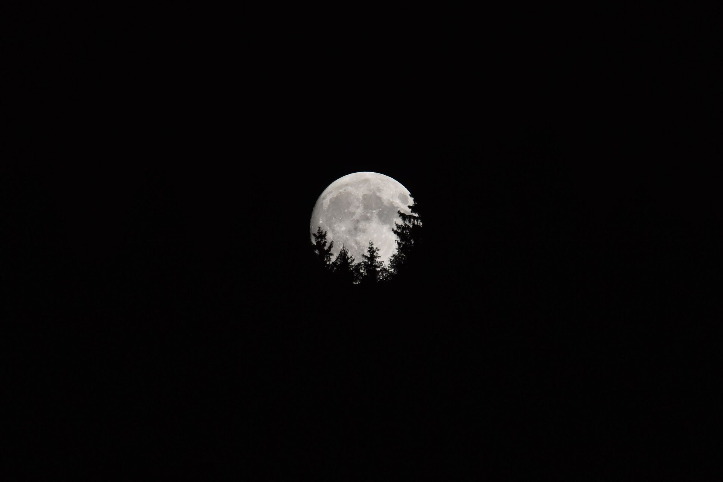The light in the darkness