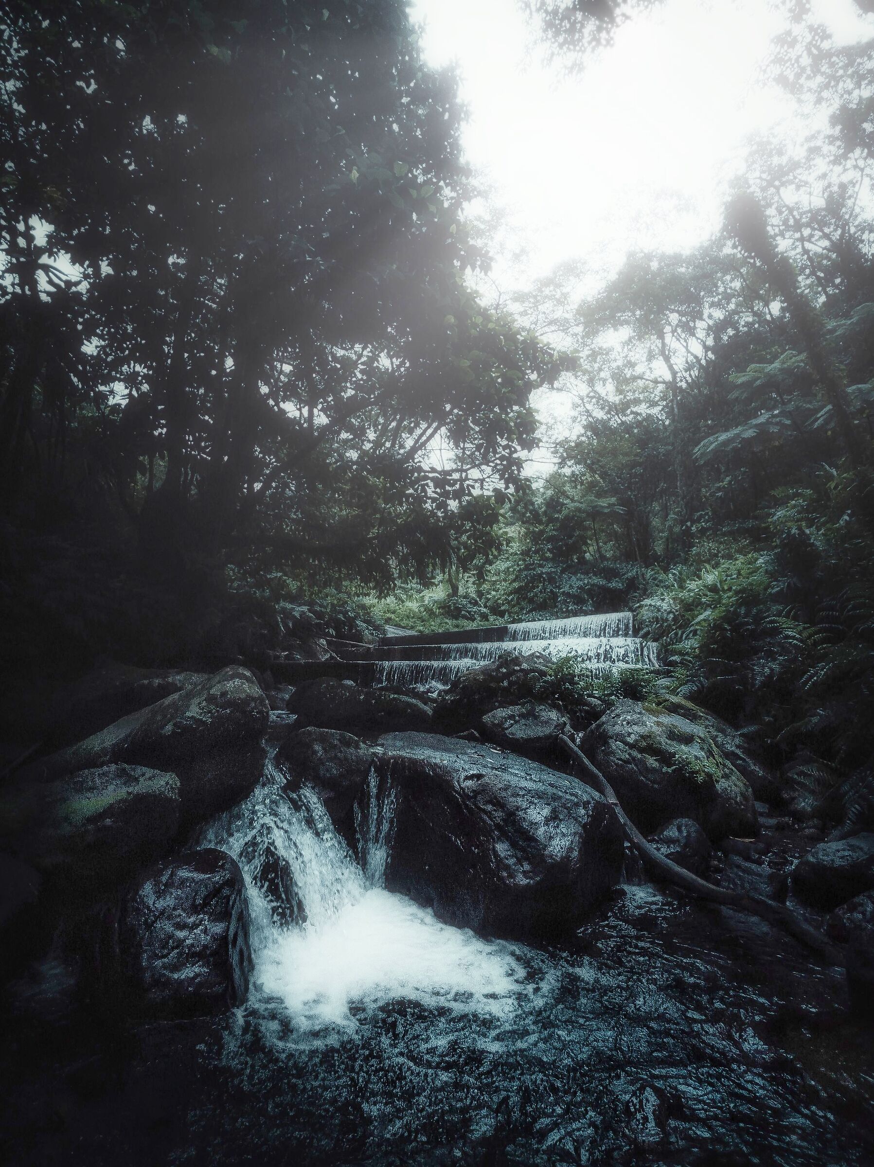 Fiume