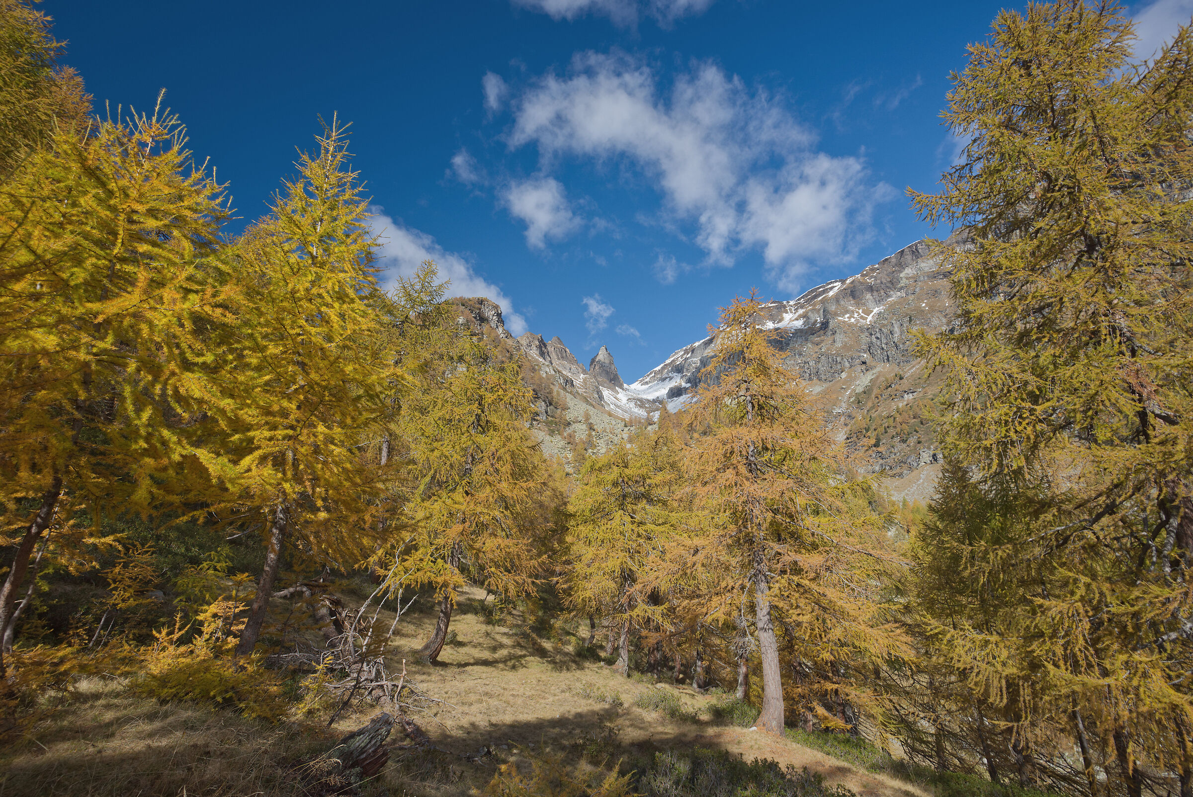 autunno 2020 Valdivedro