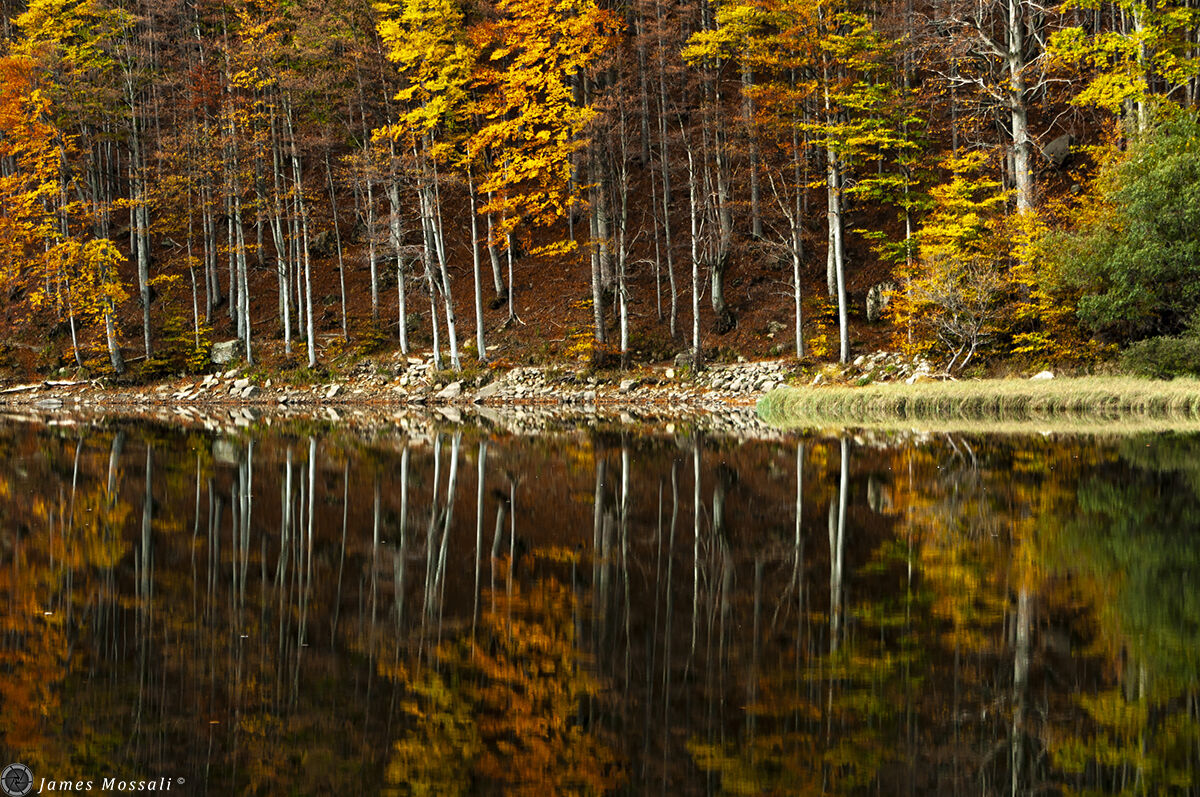 Autunno allo specchio