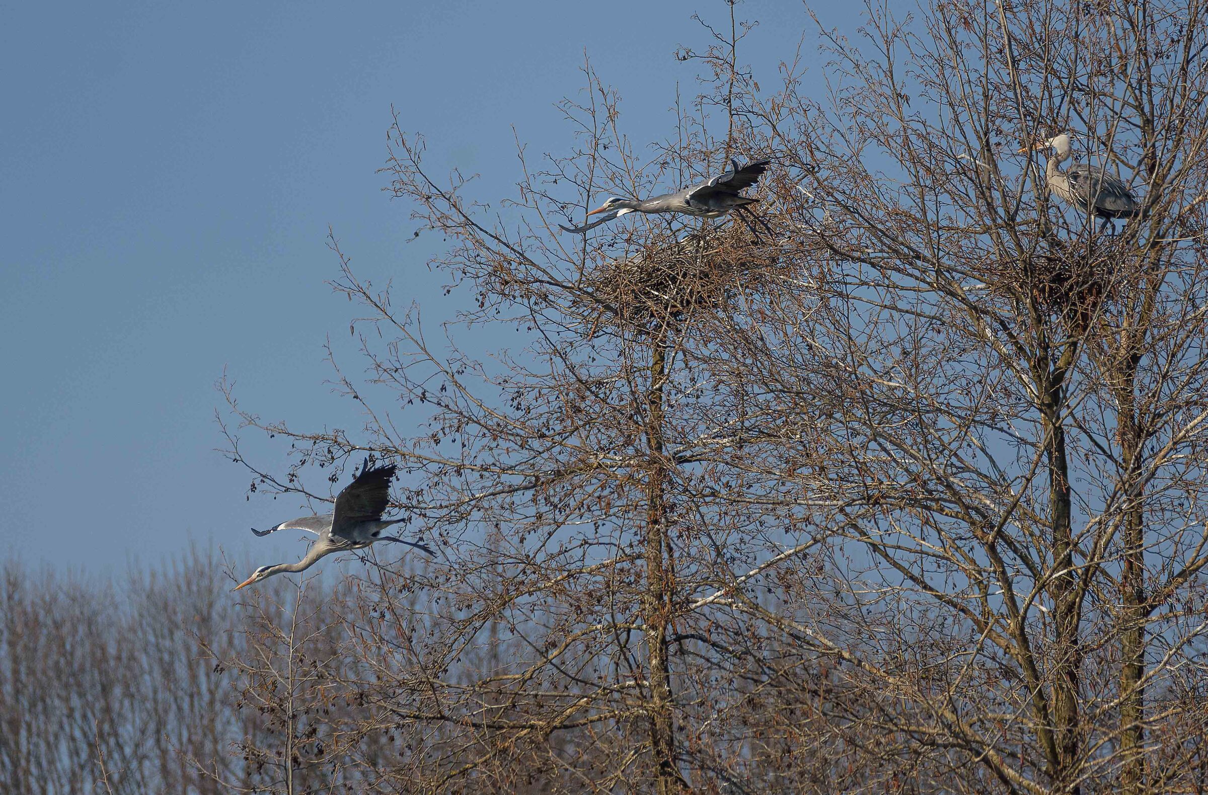 Tre scatti per un volo