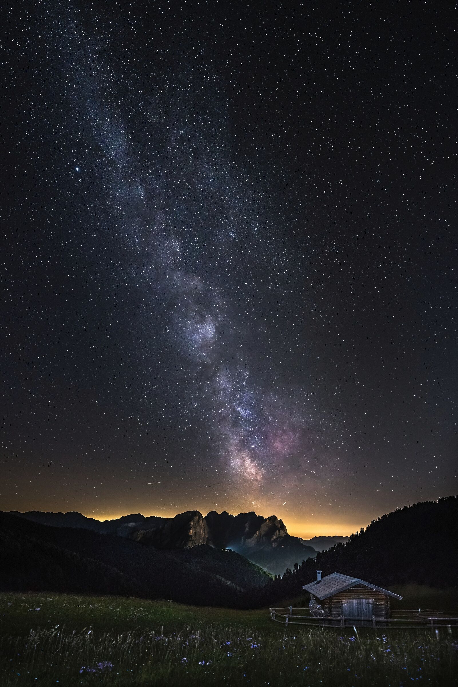 Alpima night