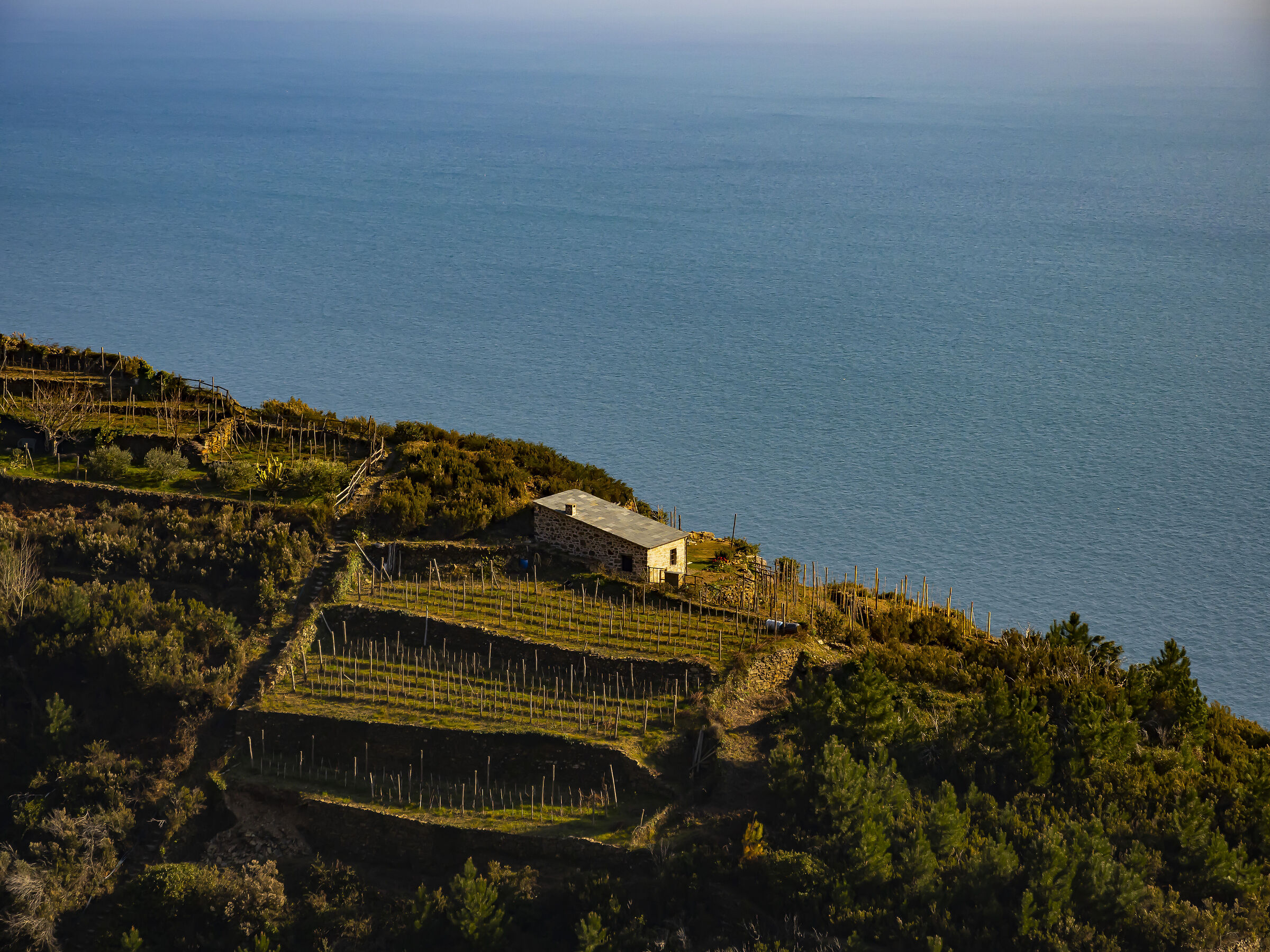 Hotels in Riomaggiore
