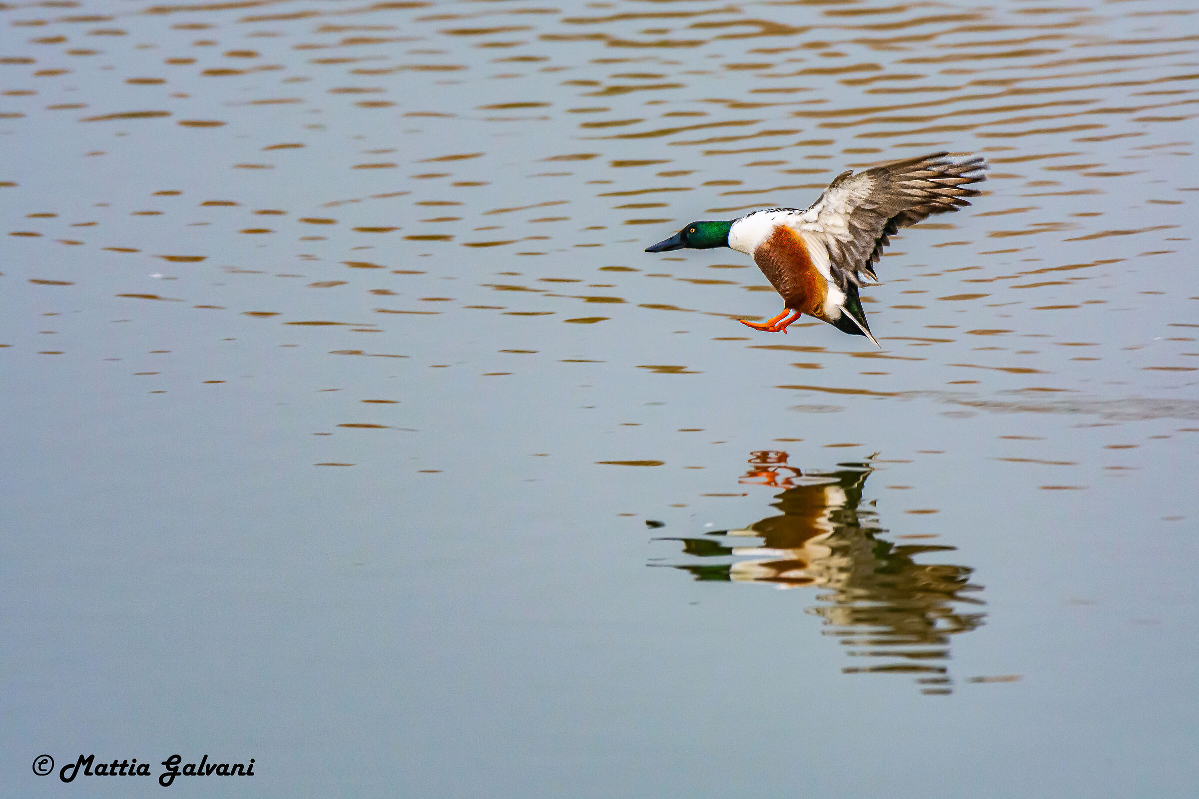 Atterraggio del Mestolone