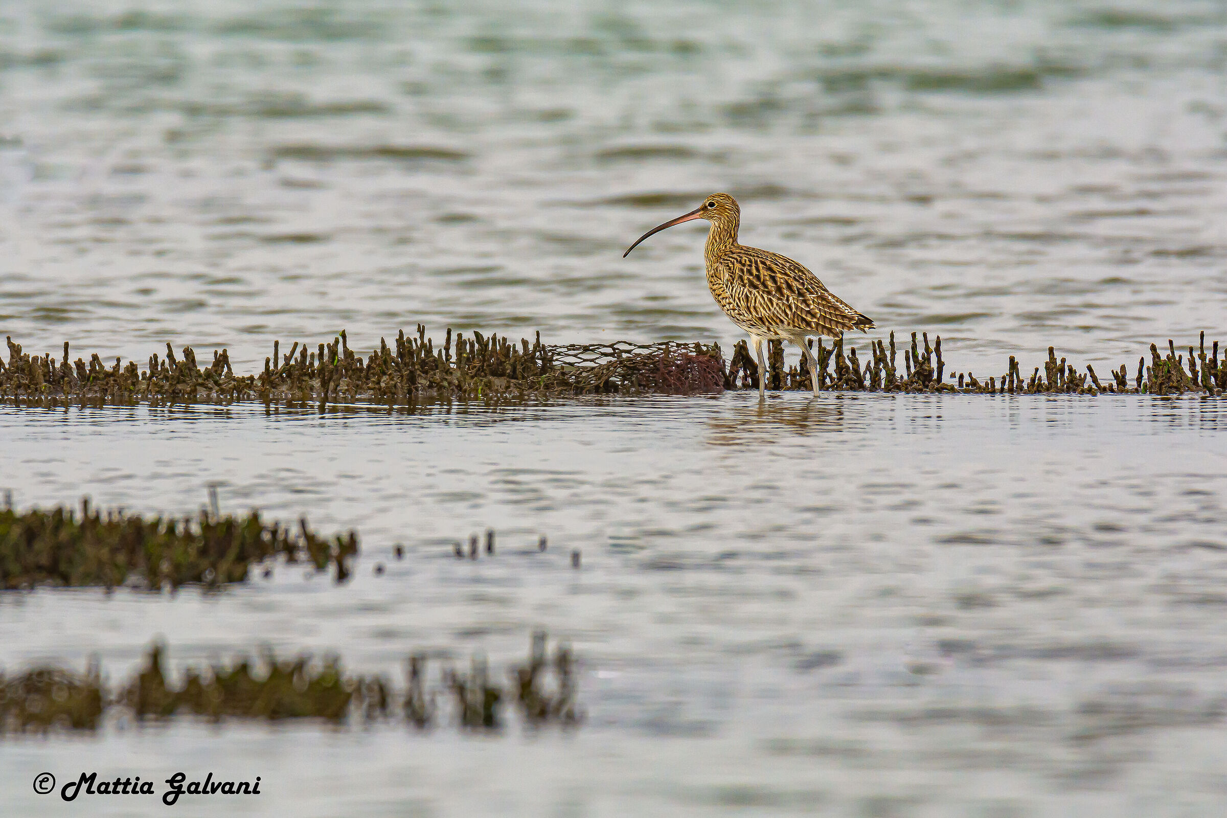 Chiuro Maggiore in una giornata nuvolosa