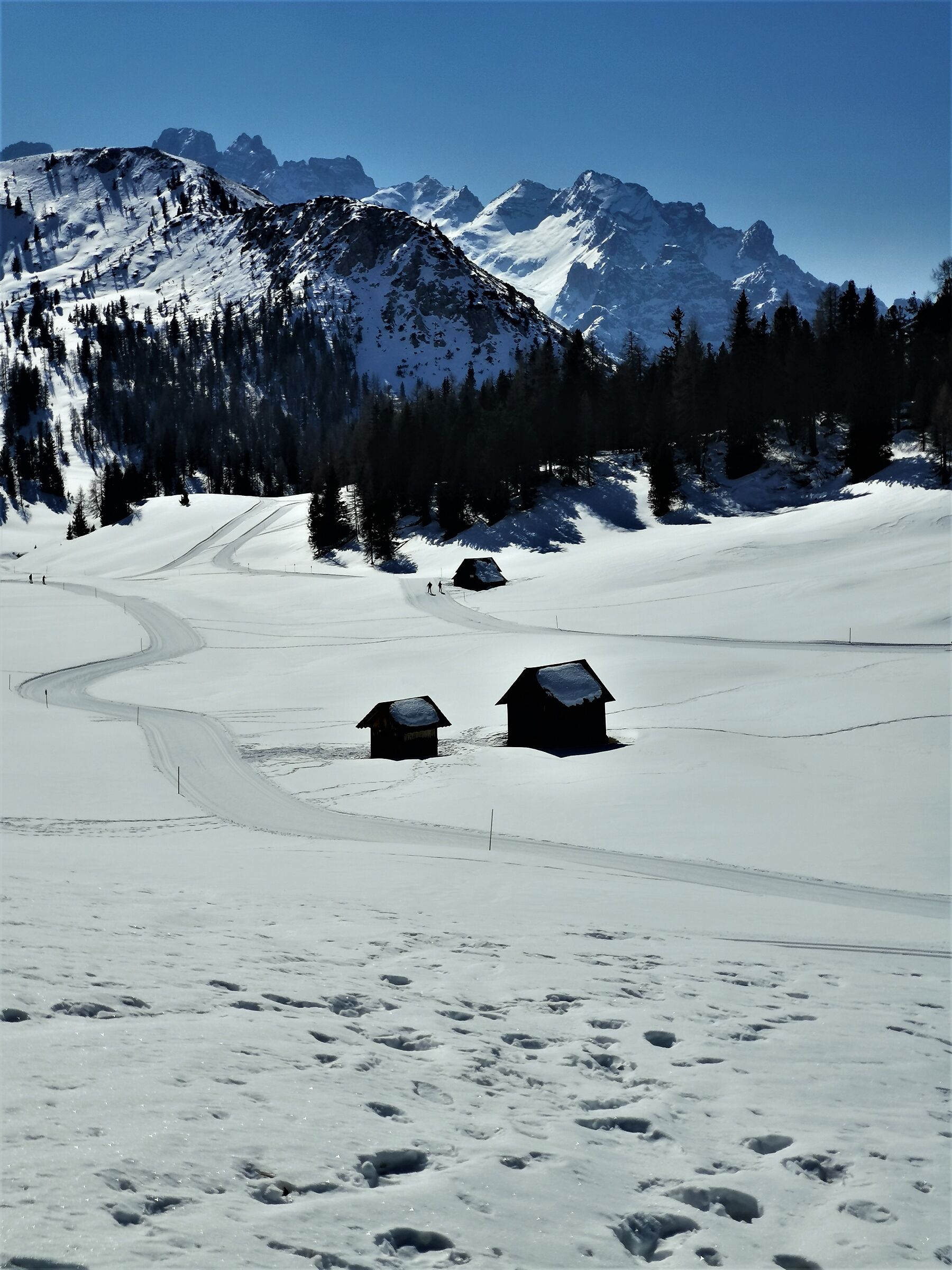 Pratopiazza in Marzo - 1 -