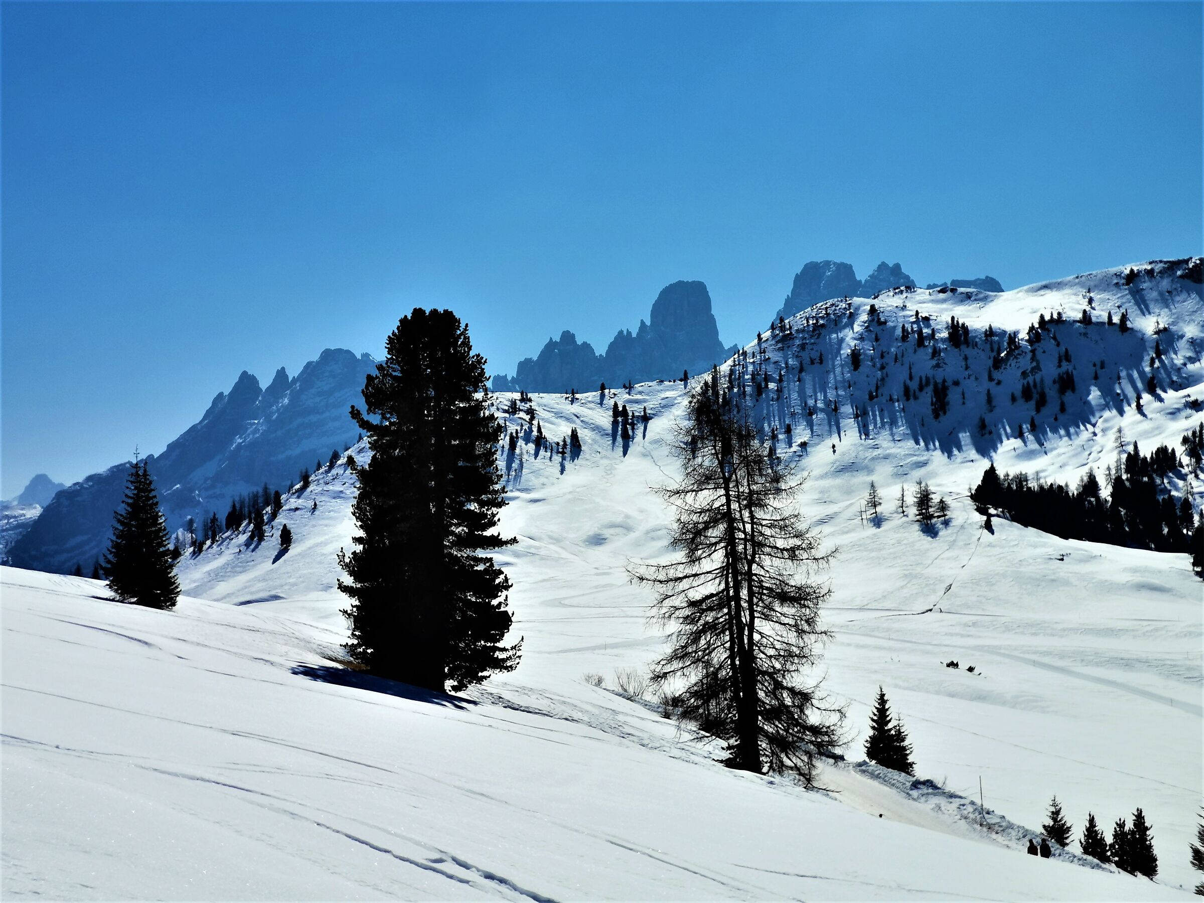 Pratopiazza in March - 2 -