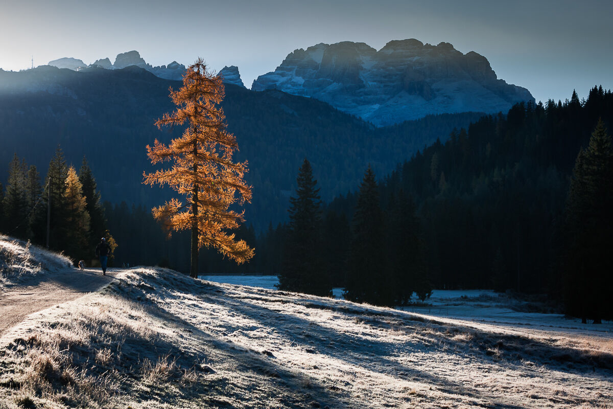 A cool autumn morning ...