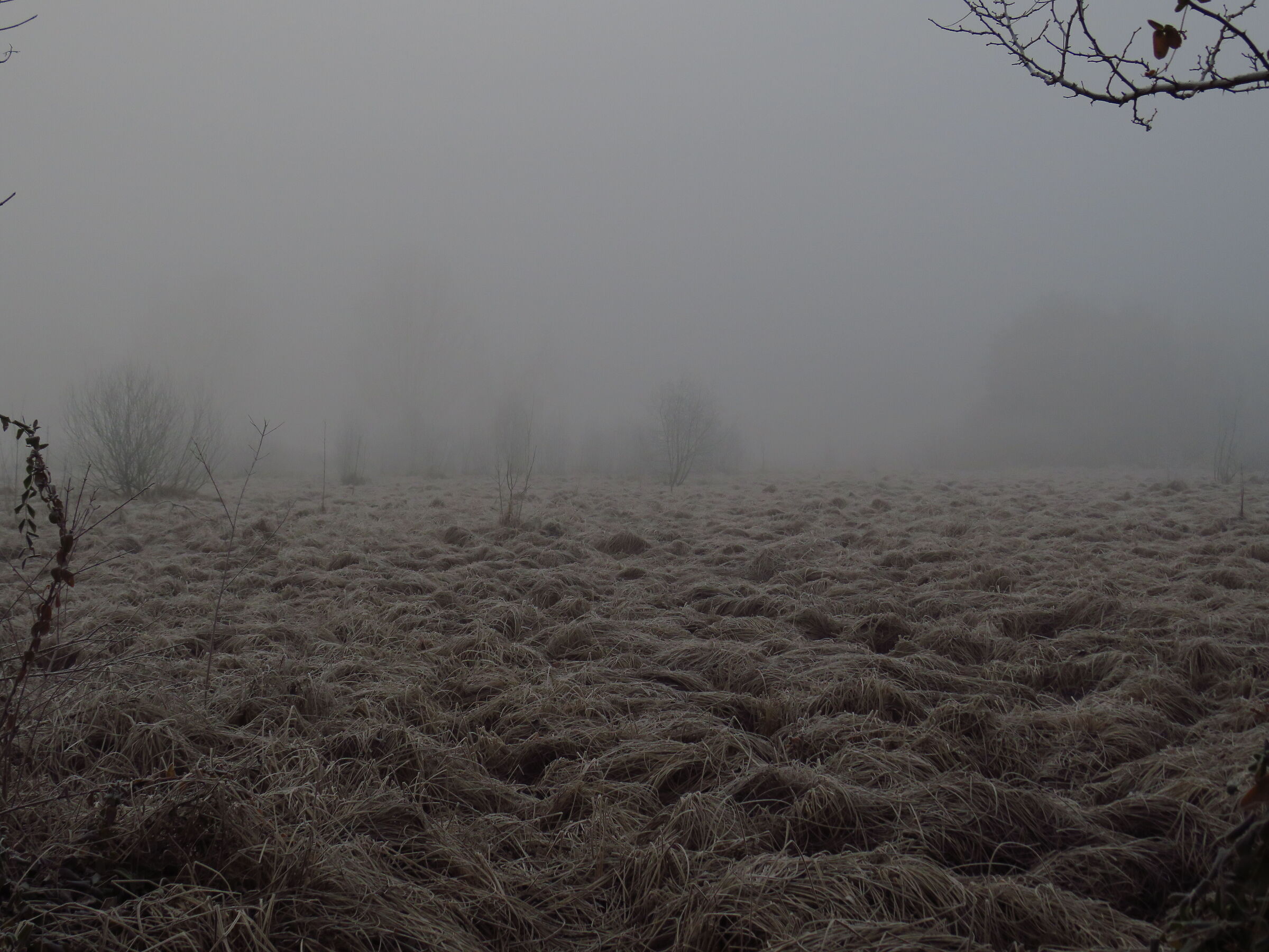Untitled Photo