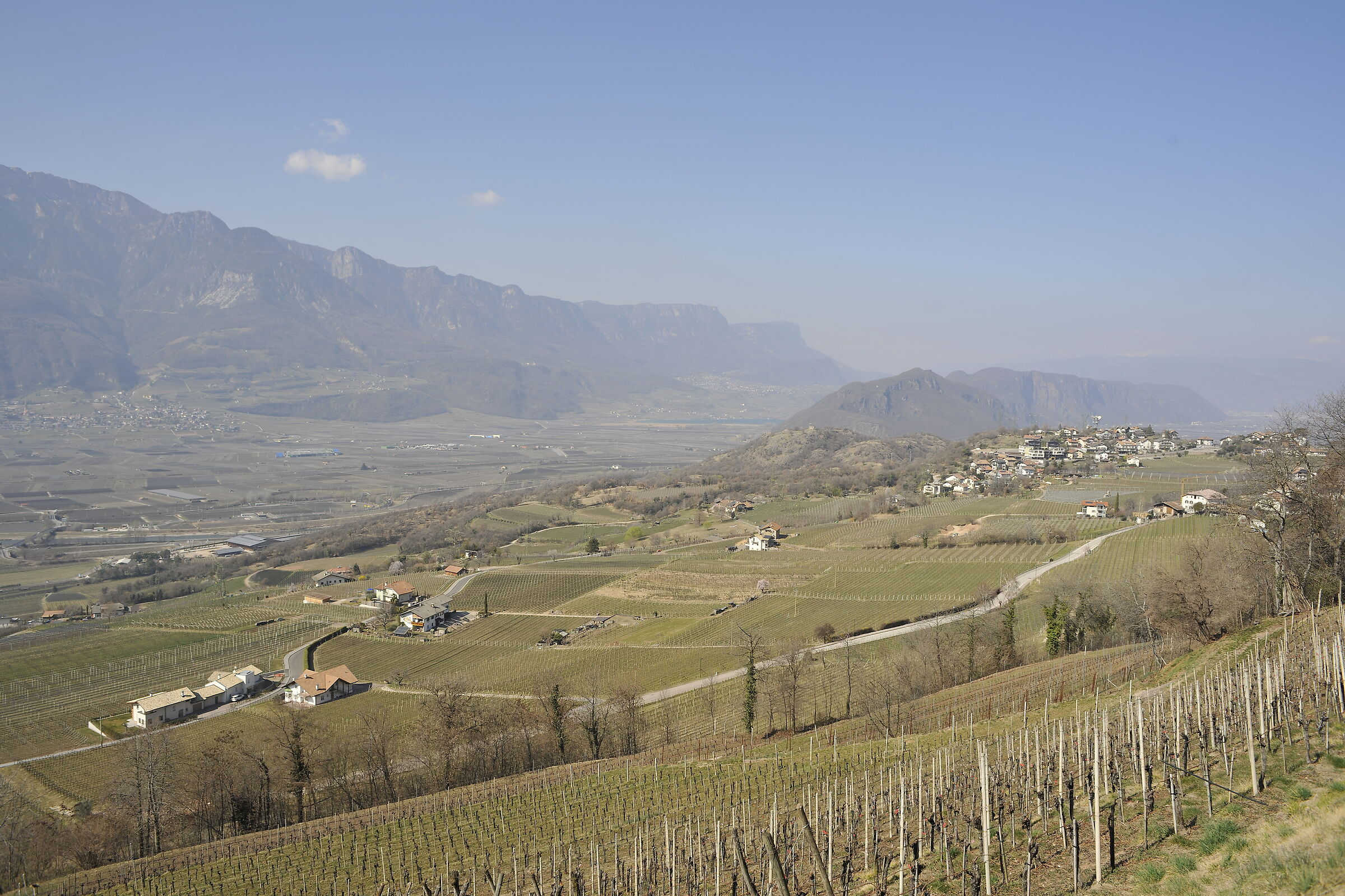 La terra del Pinot nero