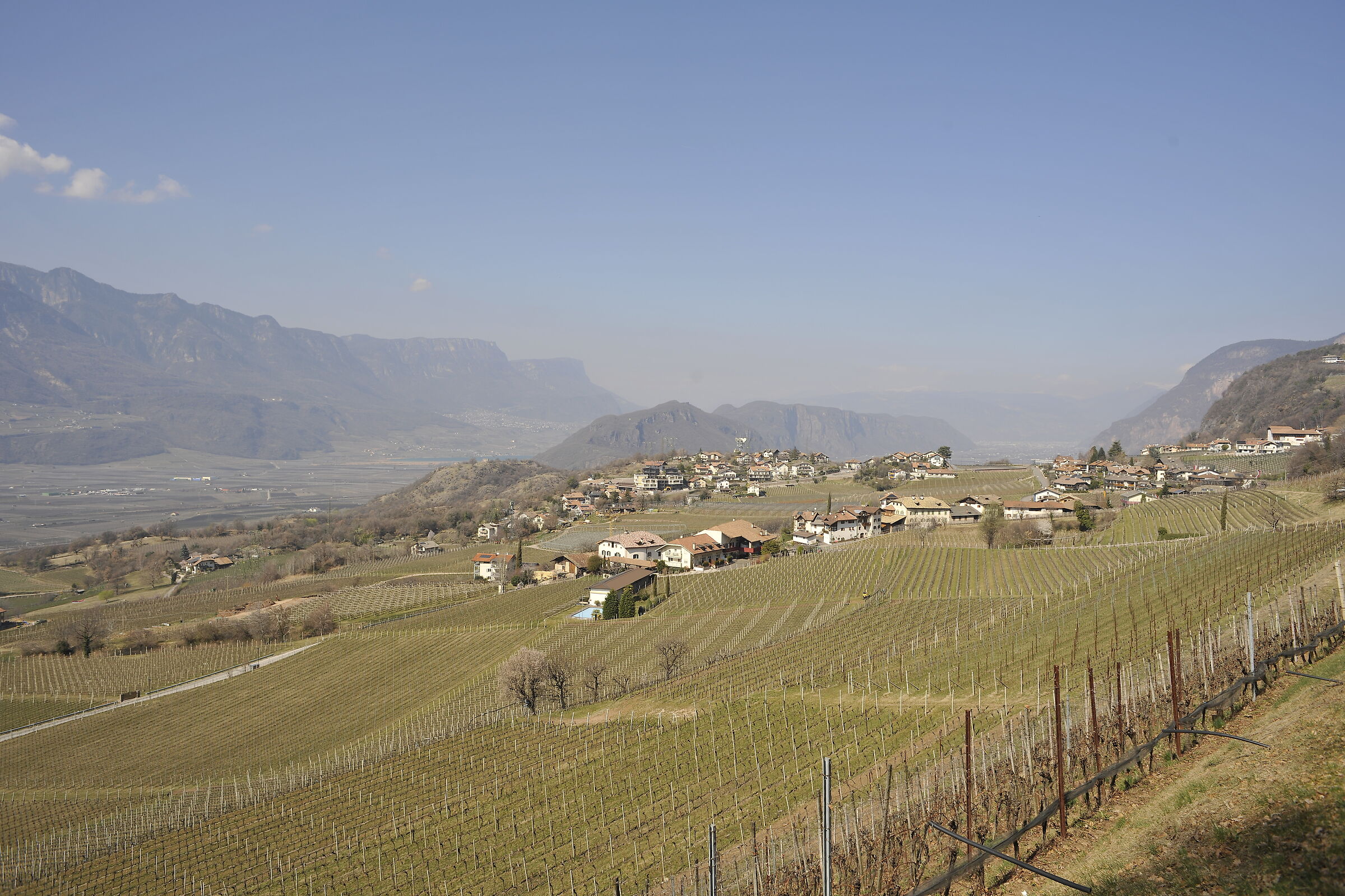 Land of Pinot Noir 2