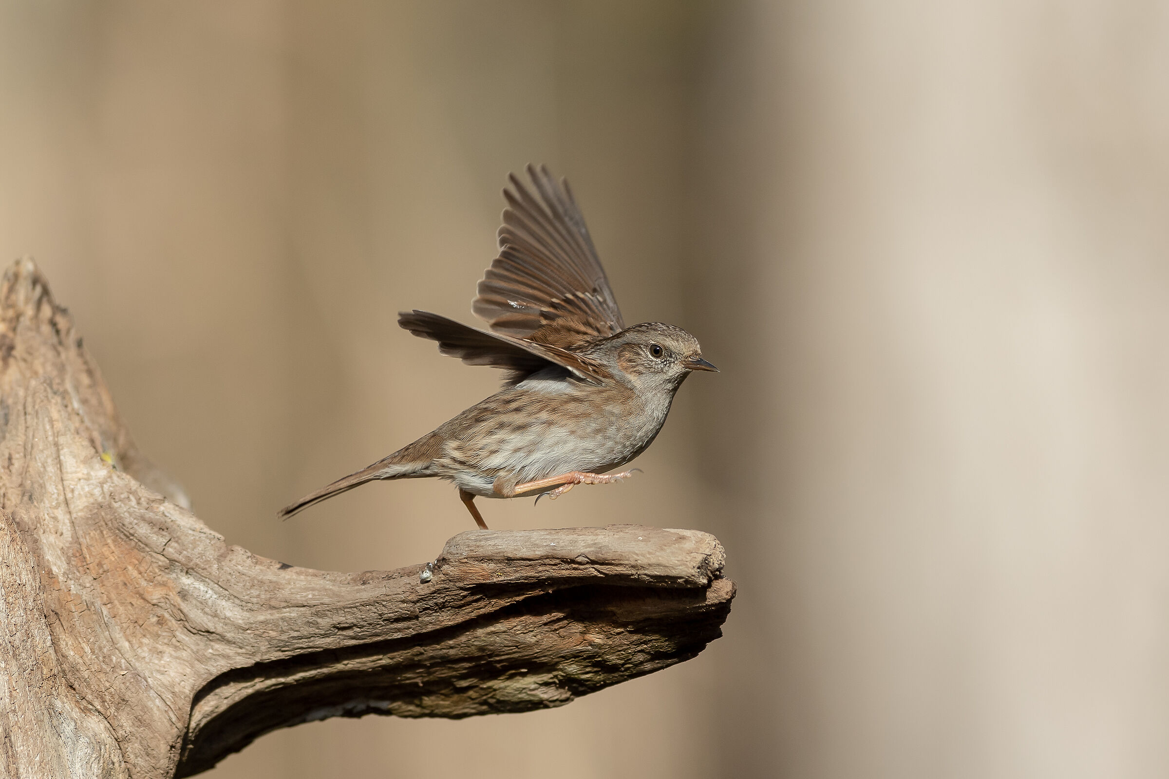 Ballo come se stessi pestando le uova...