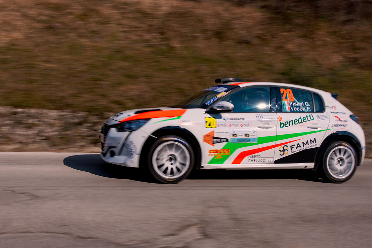 Rally (first round panning... welcome advice)