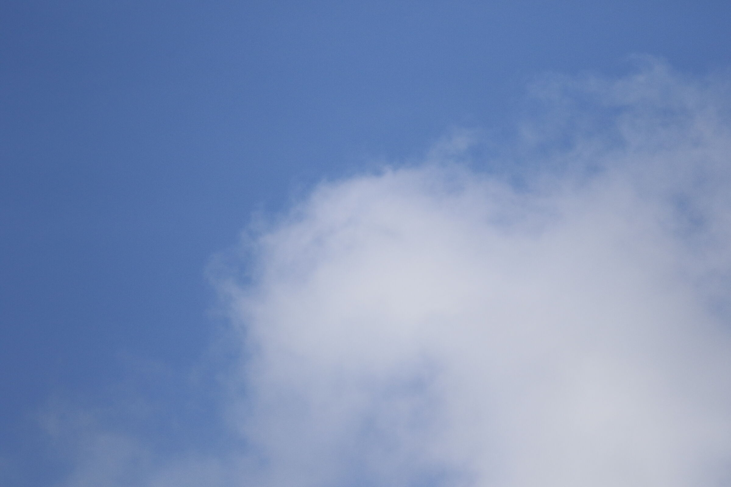 A 300=Crop 480- Canon 7D II- DO 70-300