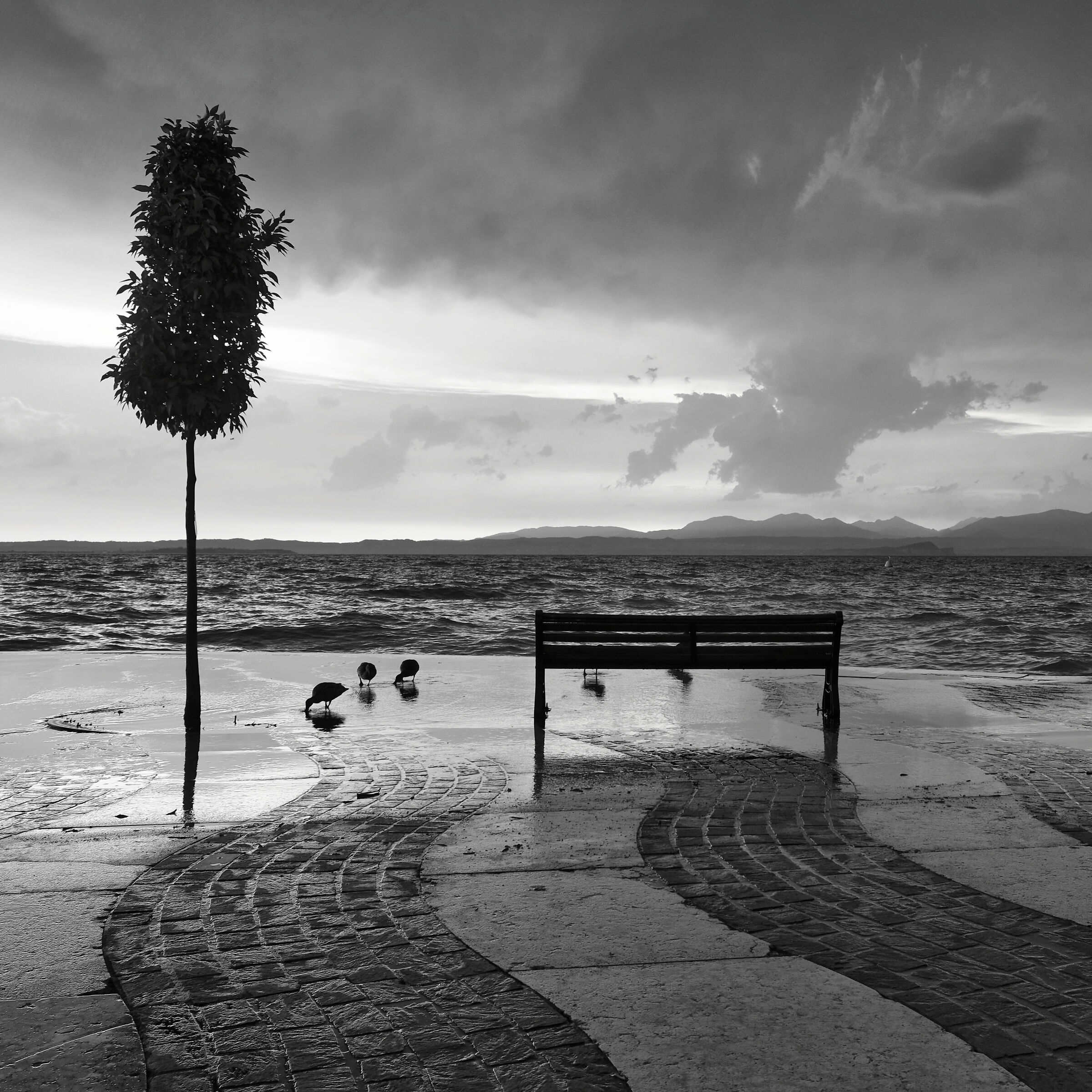 The quiet after the storm
