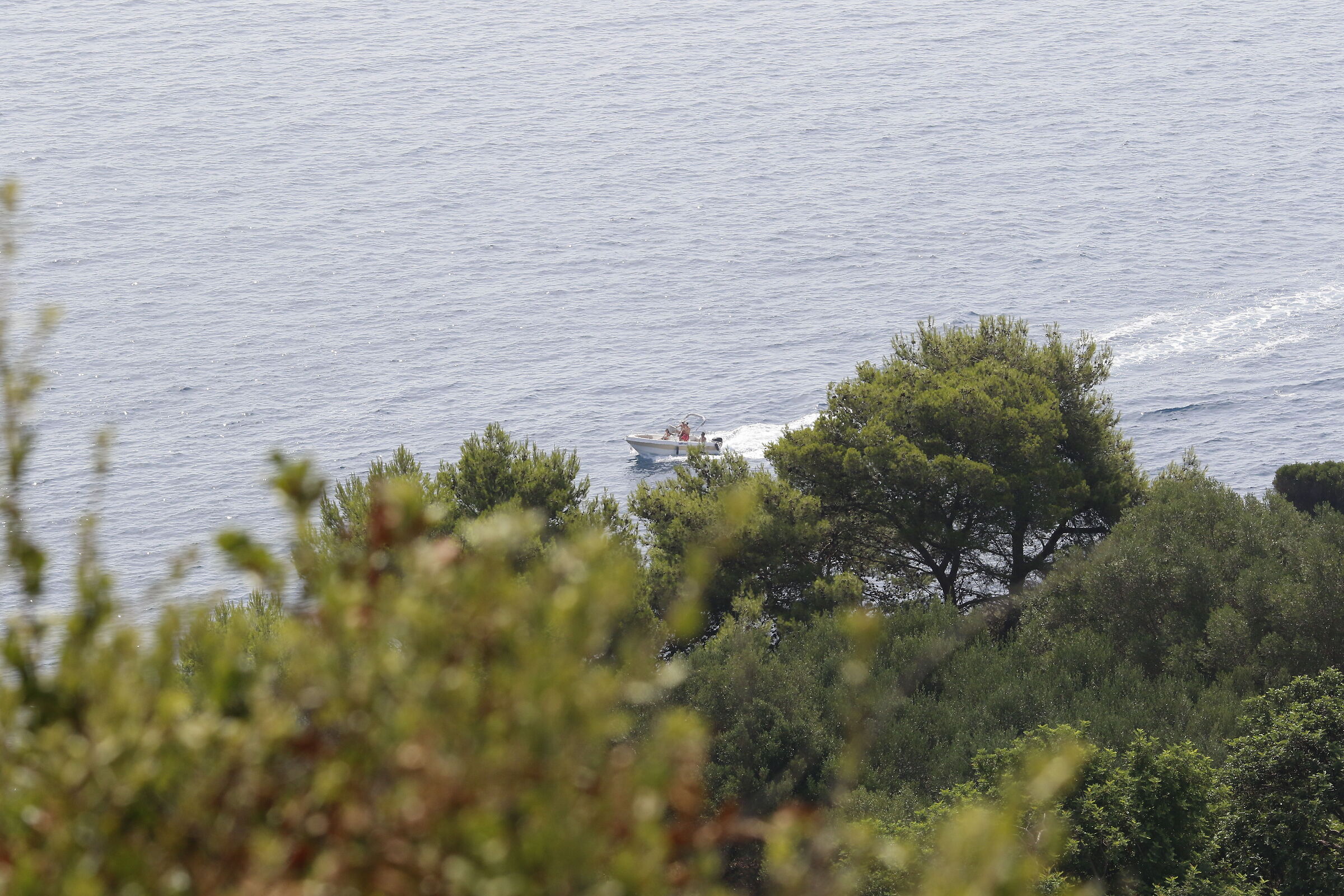 Canon 7D II- 135 F.2 L USM