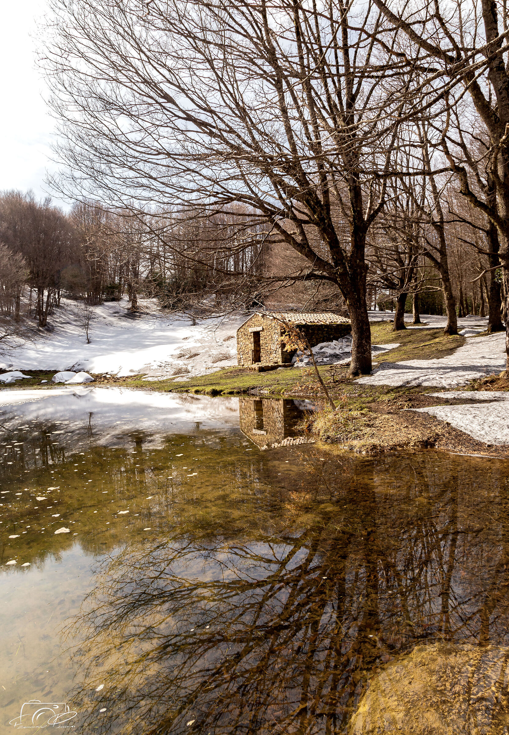 Parco dei Nebrodi - Sicilia